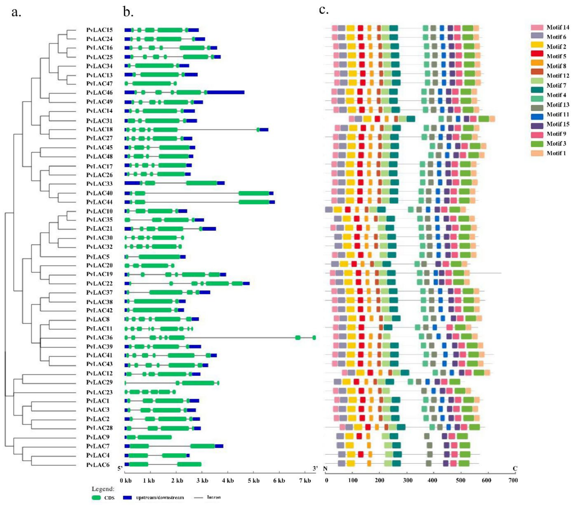 Ijms 23 06530 g004 550
