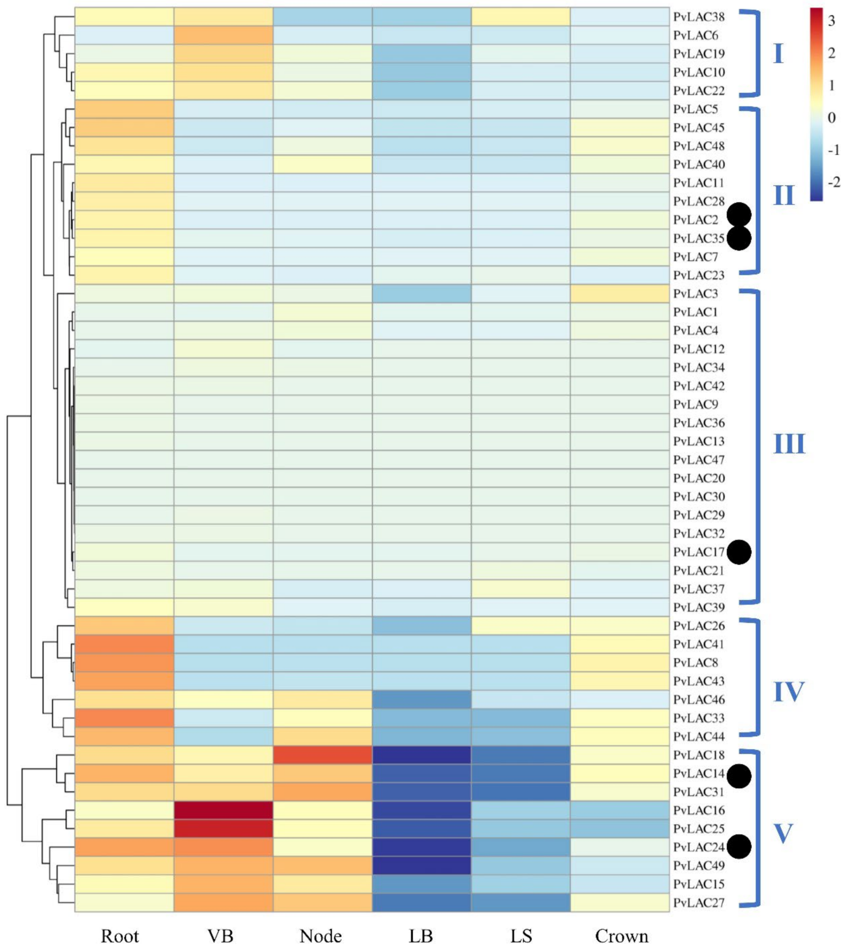 Ijms 23 06530 g005 550