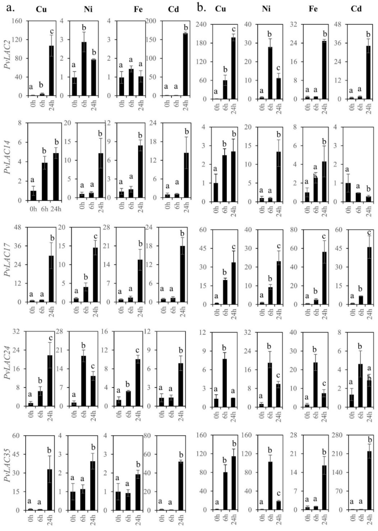 Ijms 23 06530 g006 550