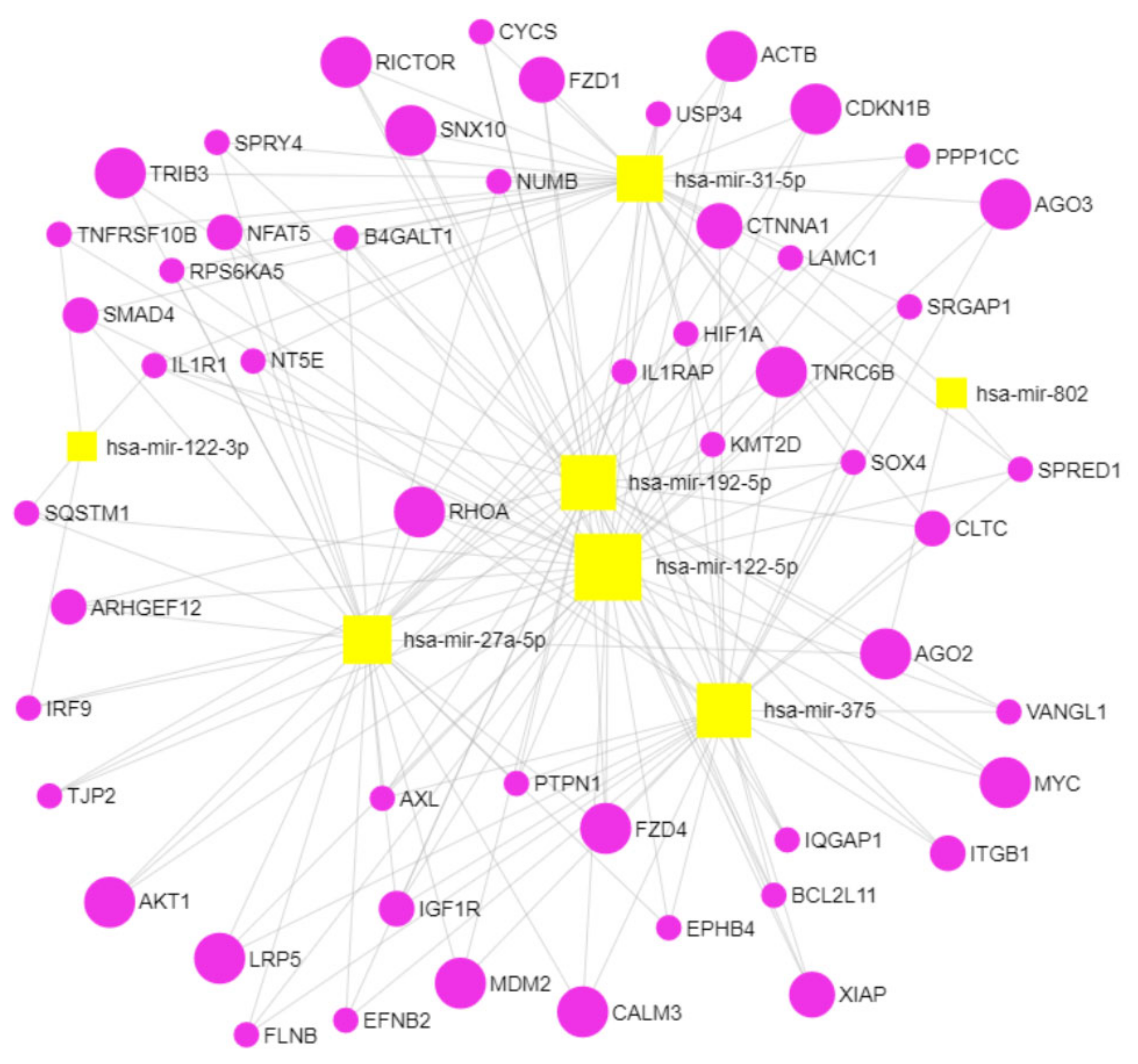 Ijms 23 06534 g005 550