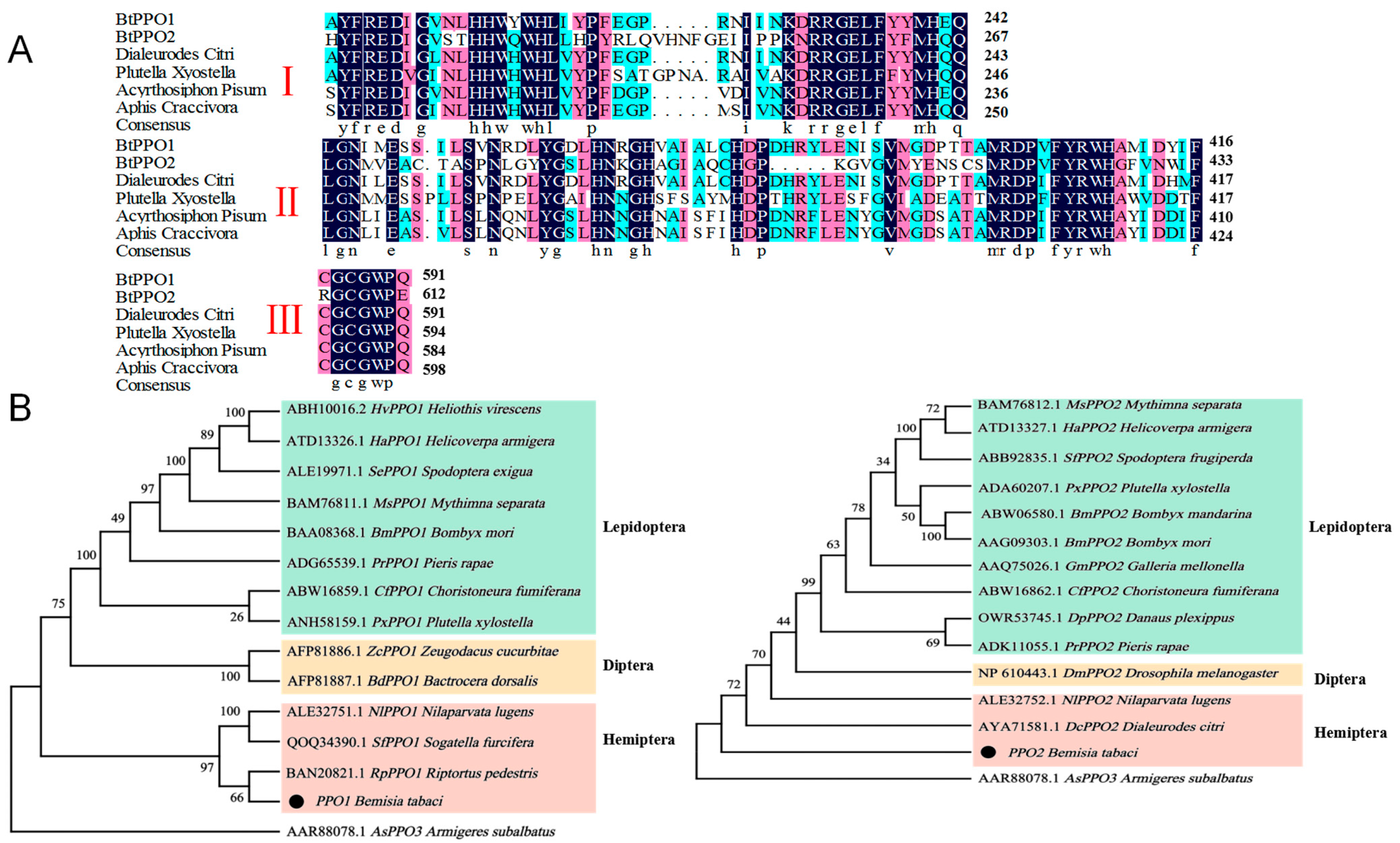 Ijms 23 06541 g001 550