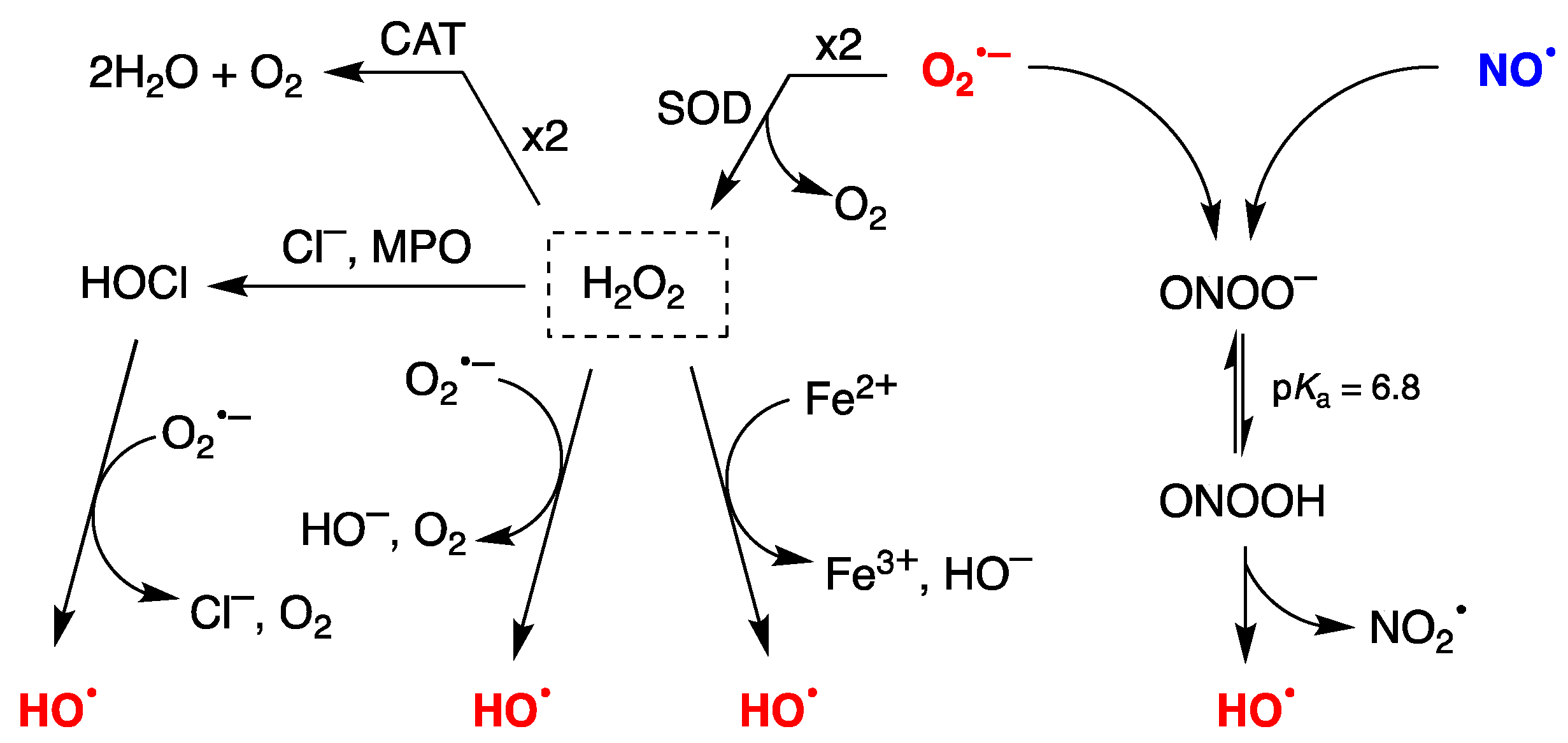 Ijms 23 06550 sch001 550
