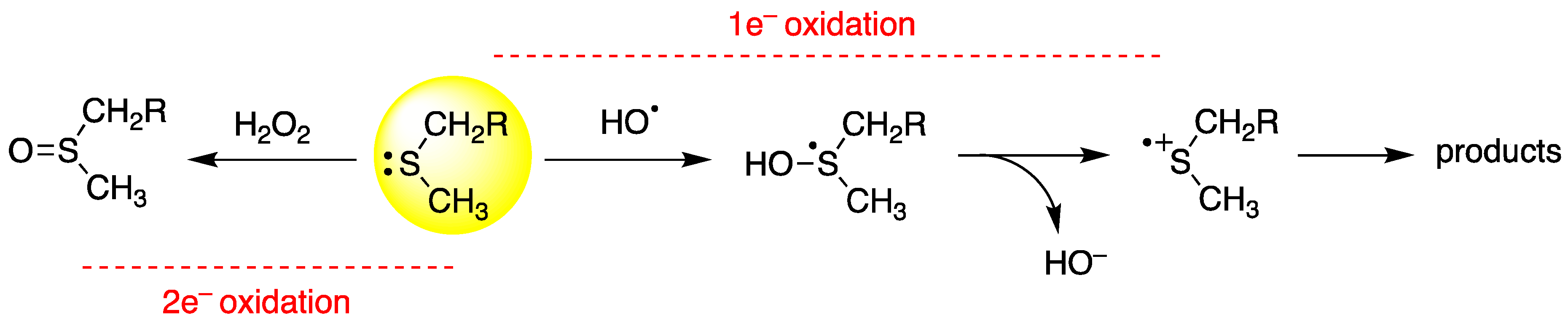Ijms 23 06550 sch002 550