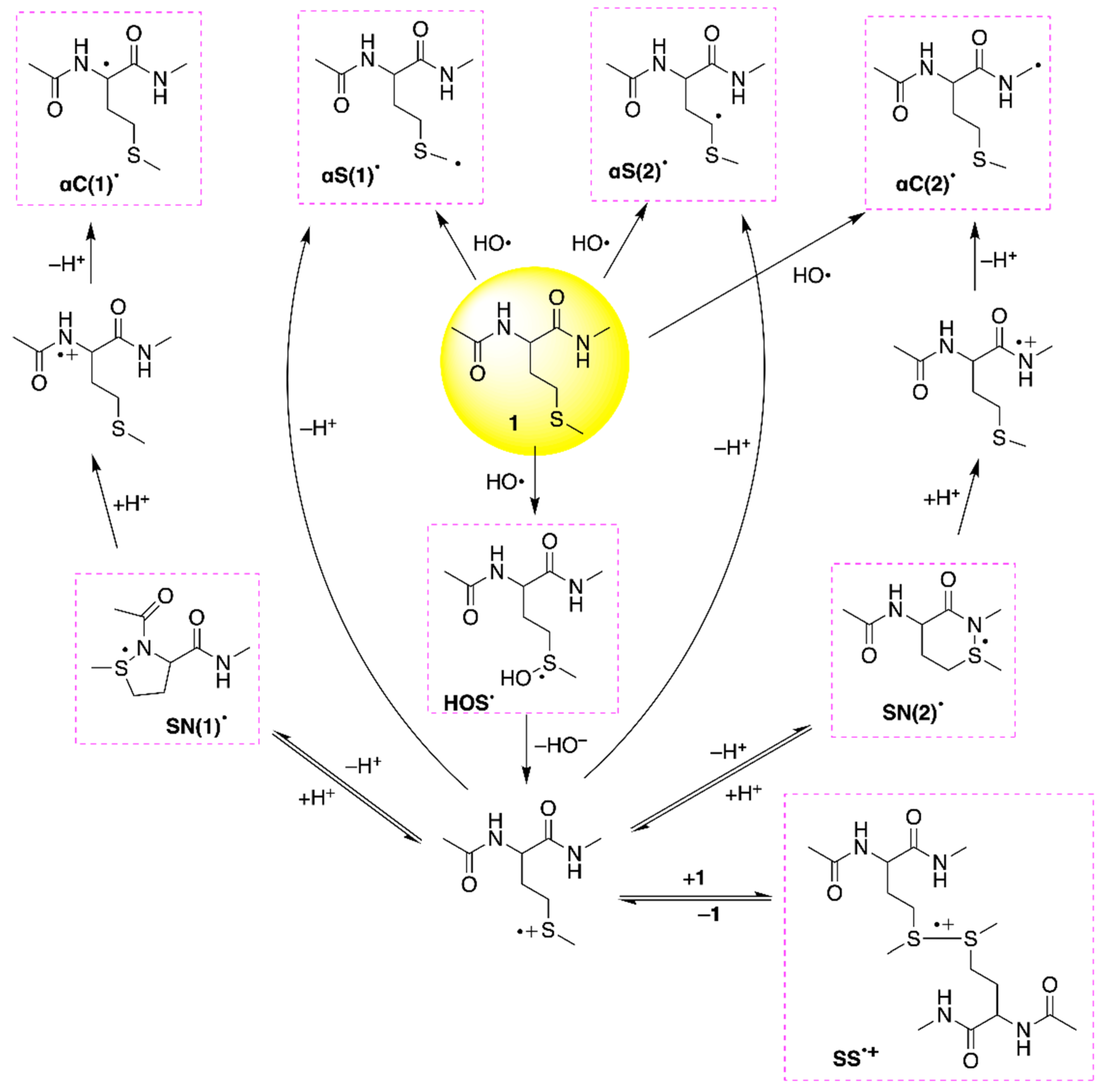 Ijms 23 06550 sch004 550