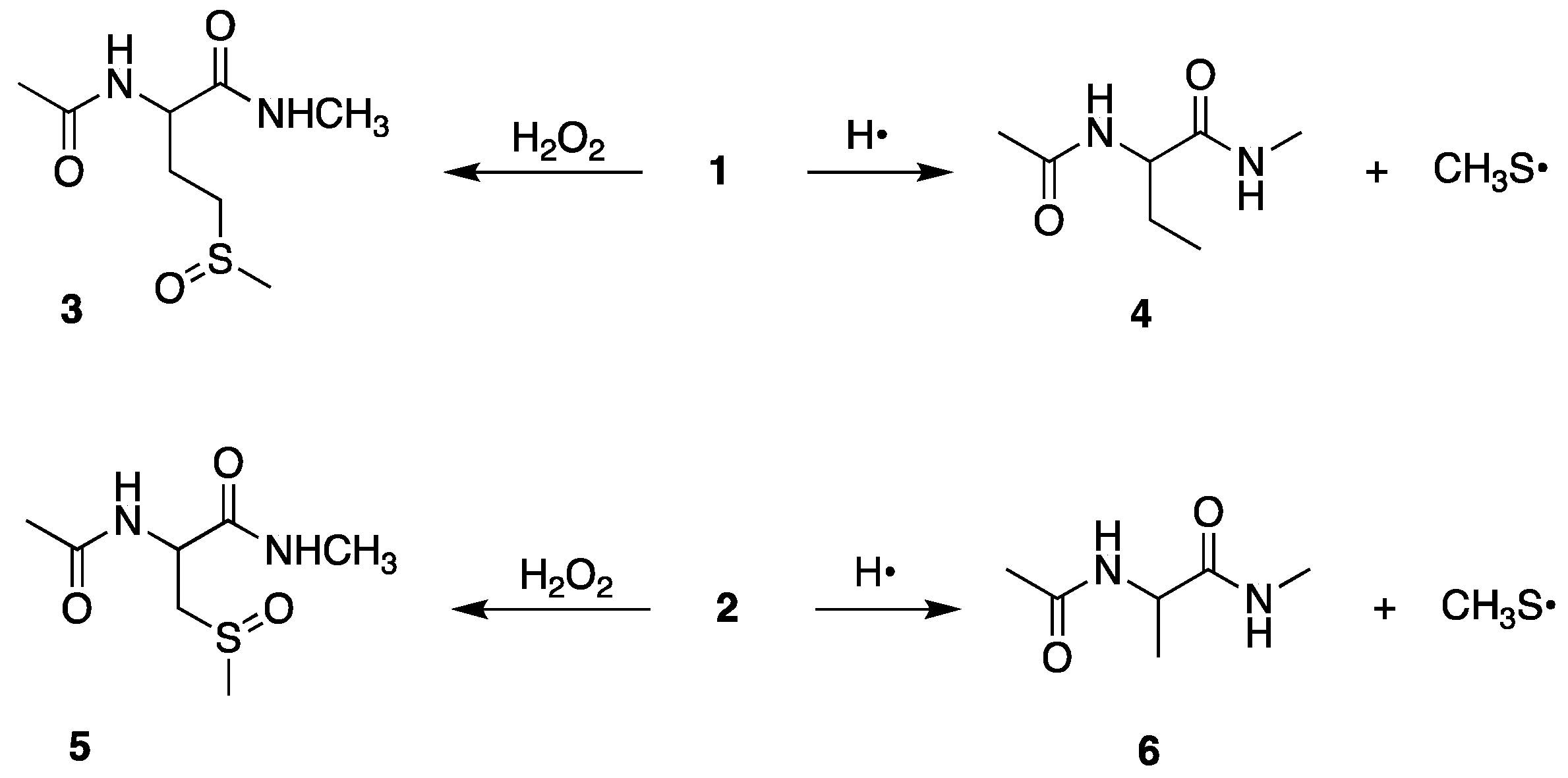 Ijms 23 06550 sch006 550