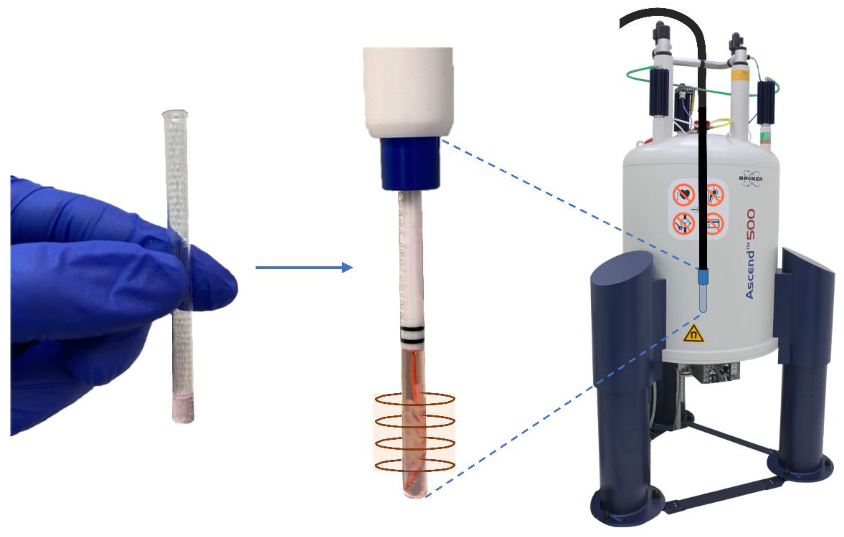 Ijms 23 06555 g001 Ijms 23 06555 g001