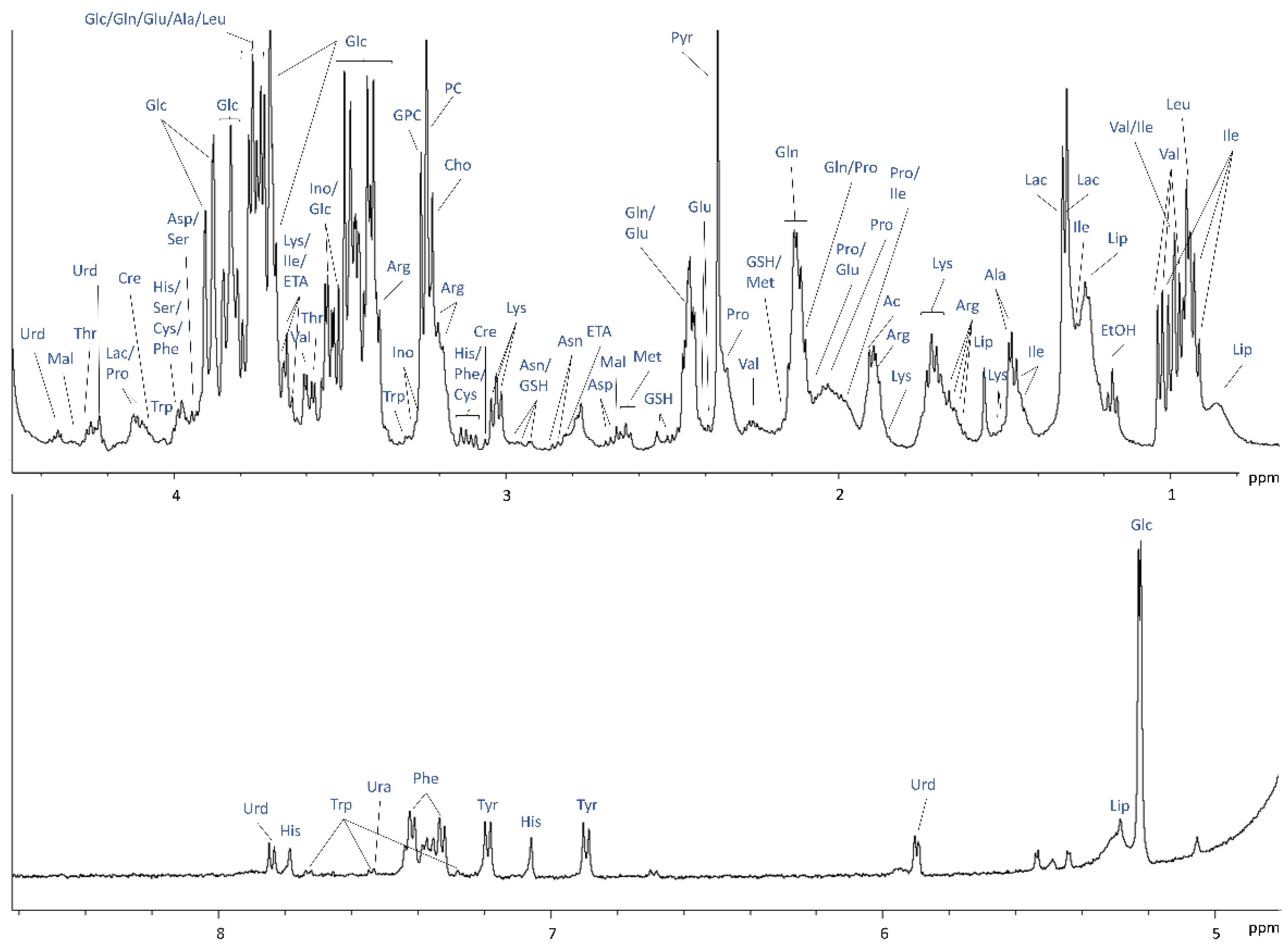 Ijms 23 06555 g002 Ijms 23 06555 g002