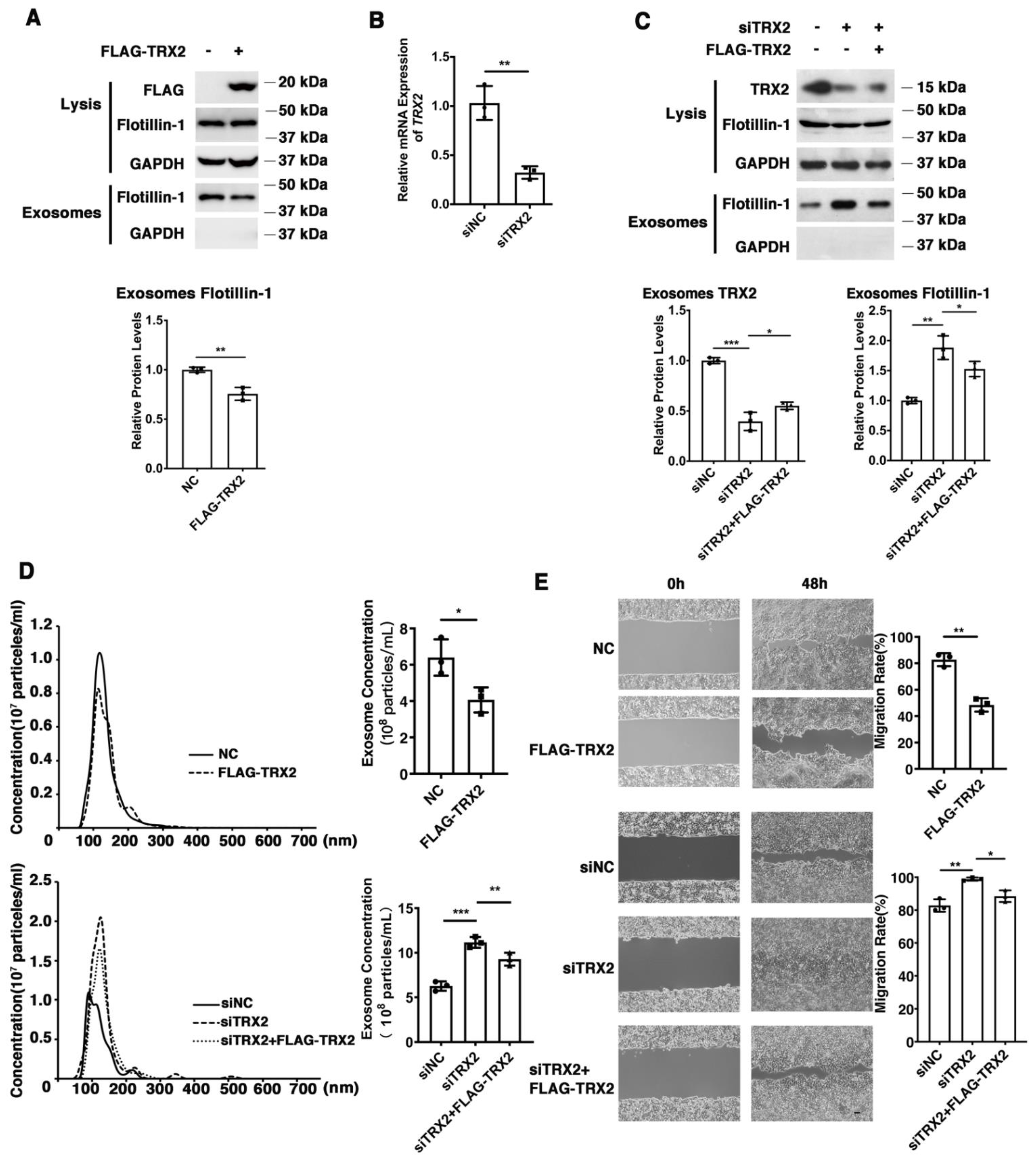 Ijms 23 06557 g001 550