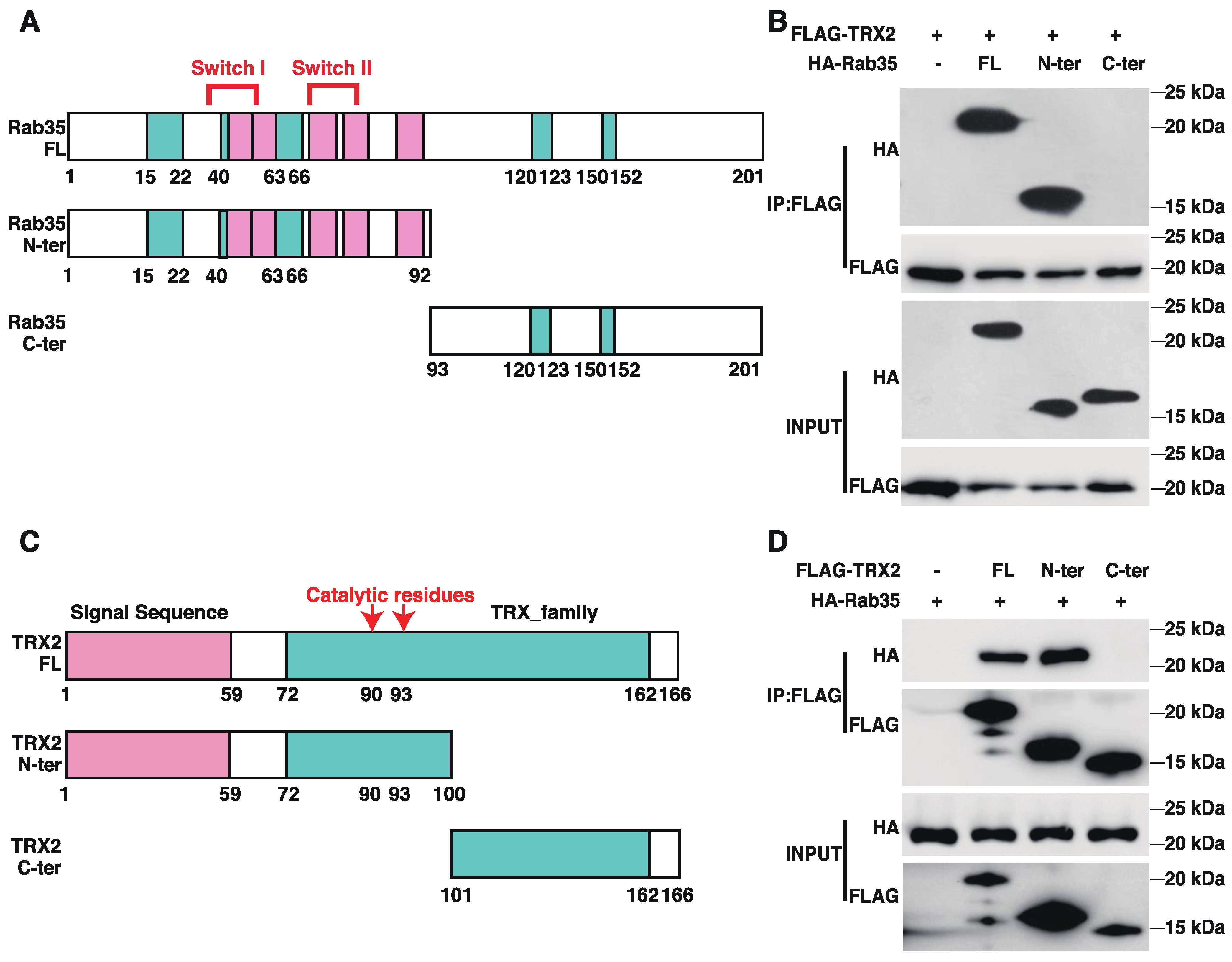 Ijms 23 06557 g003 550