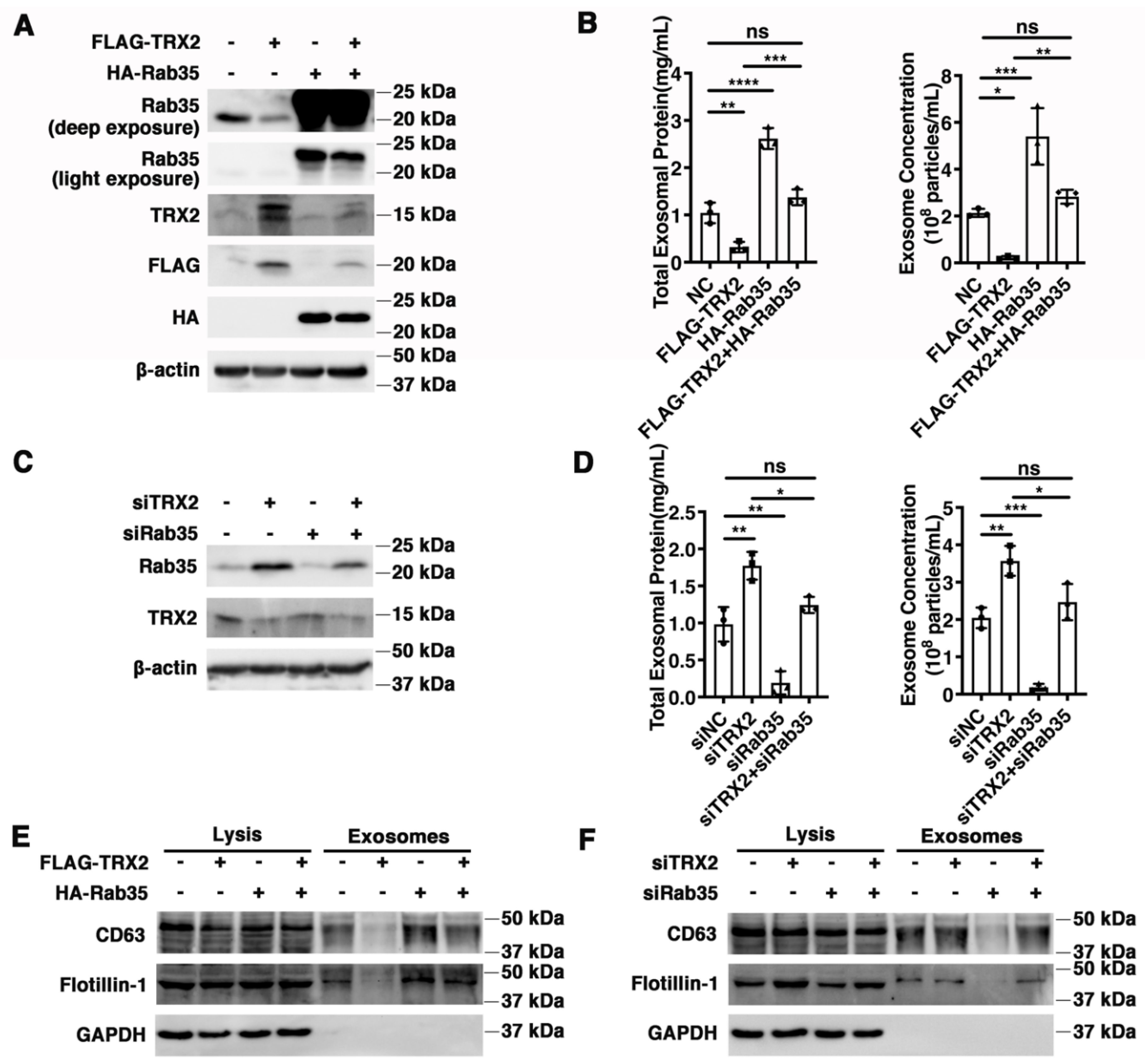 Ijms 23 06557 g005 550
