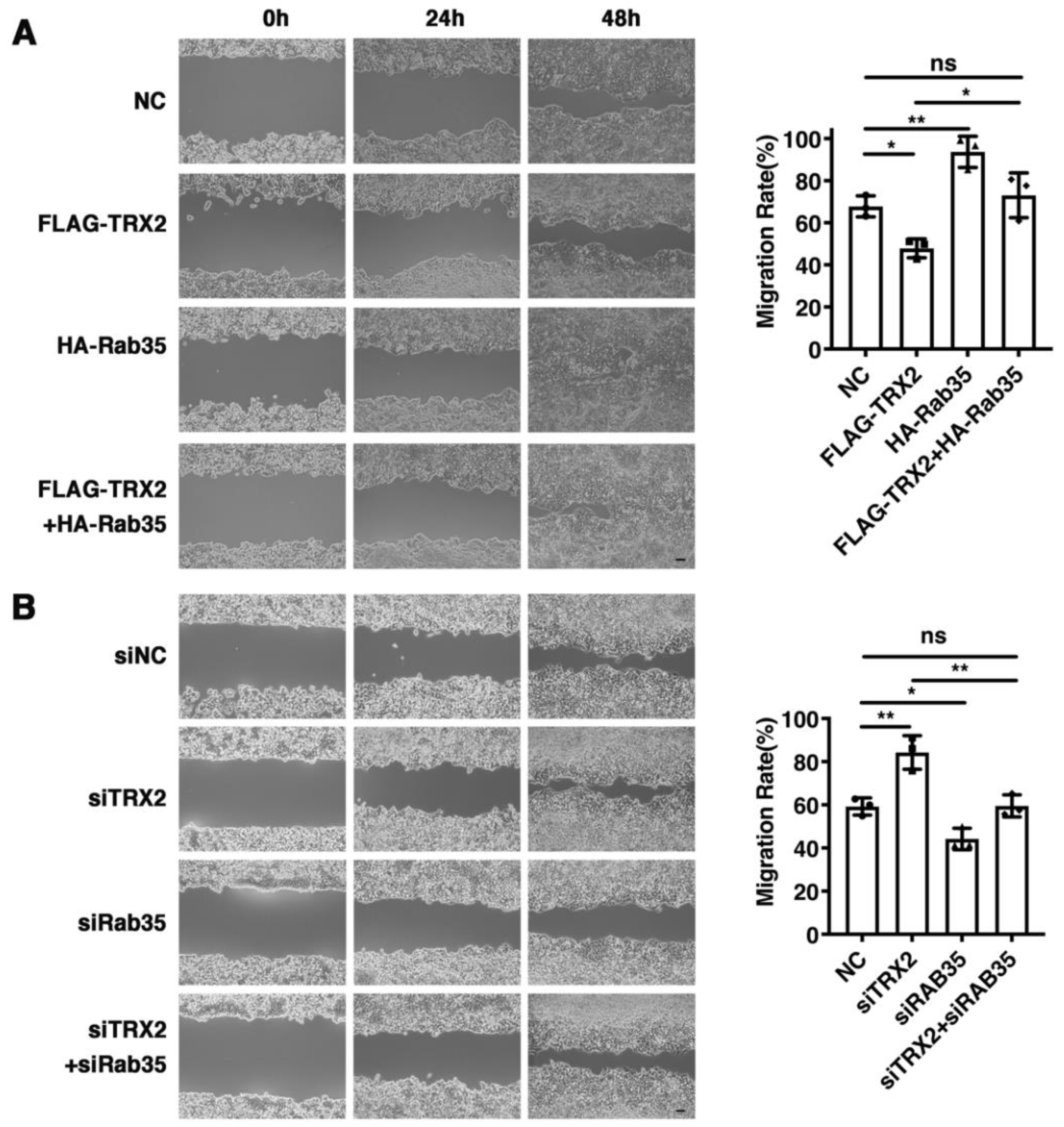 Ijms 23 06557 g006 550