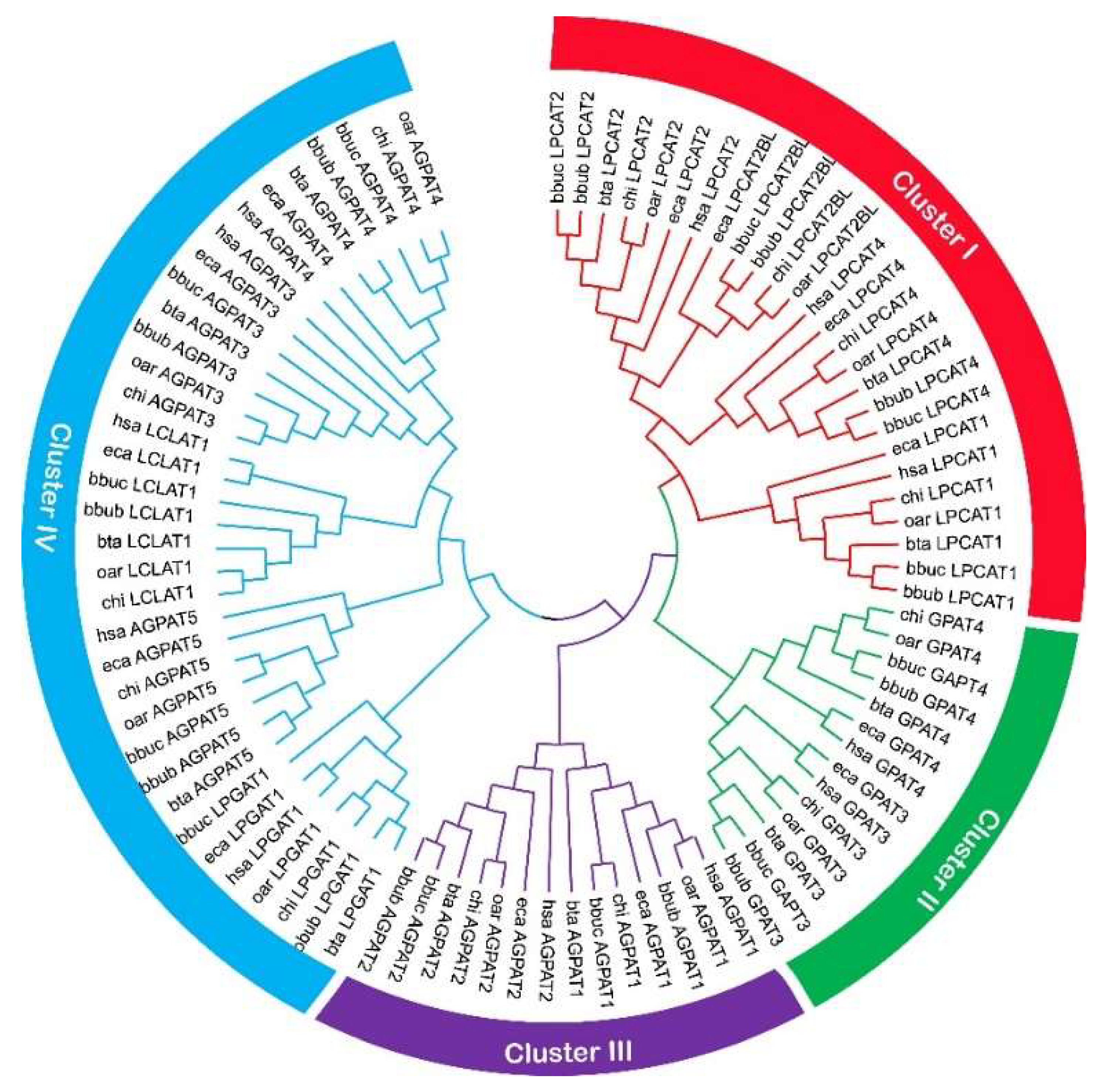 Ijms 23 06561 g001 Ijms 23 06561 g001