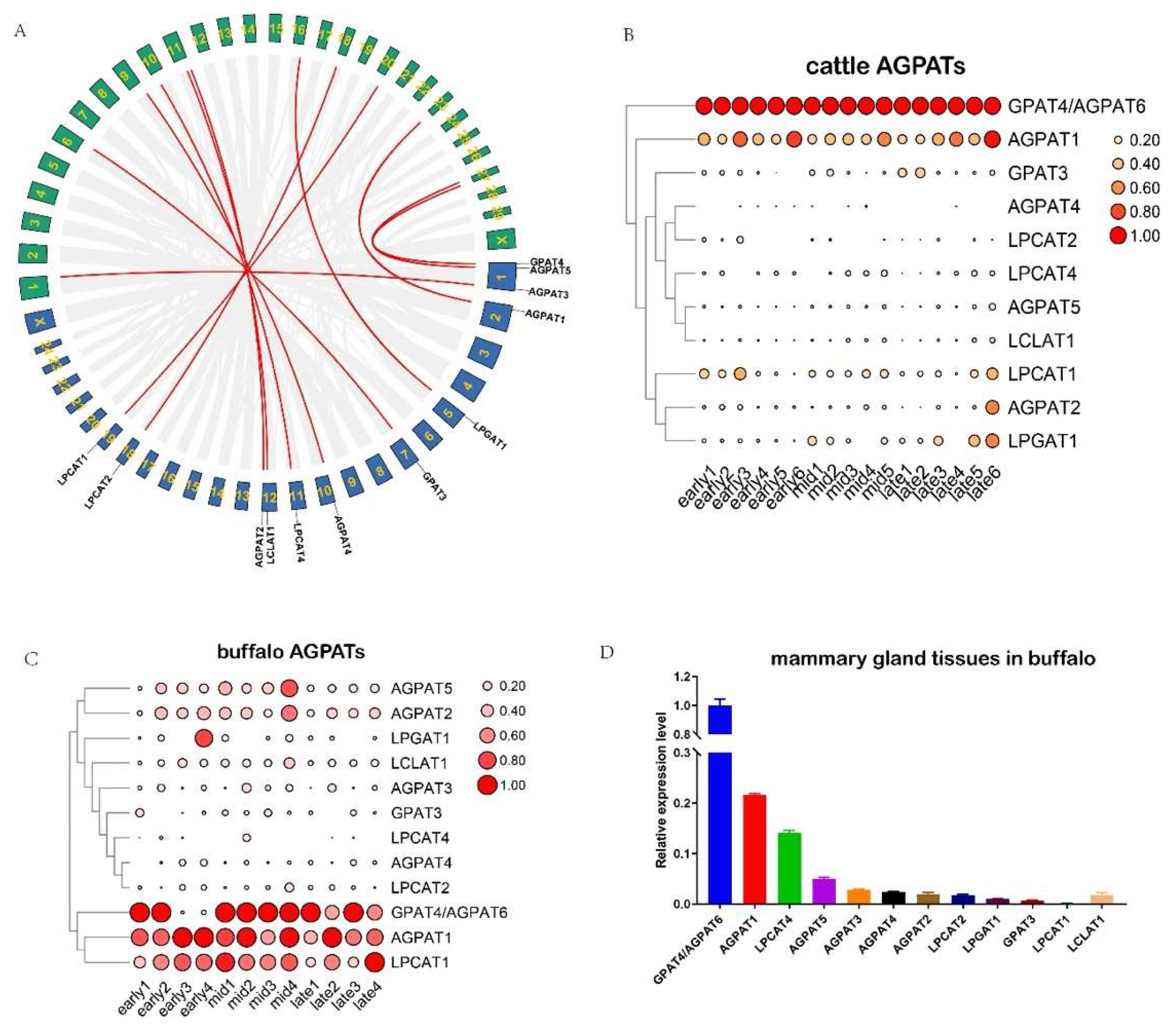 Ijms 23 06561 g002 Ijms 23 06561 g002