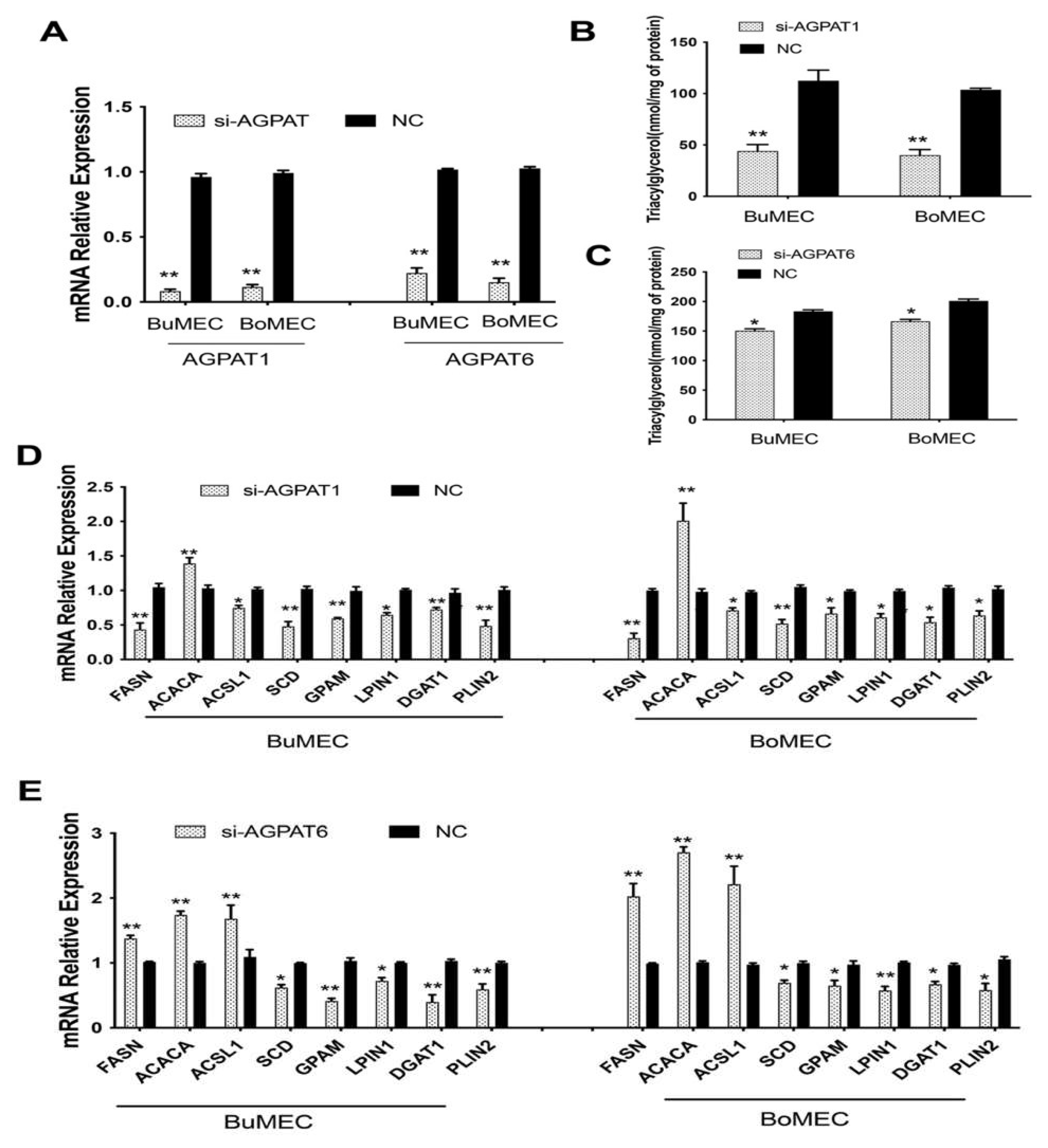 Ijms 23 06561 g003 Ijms 23 06561 g003