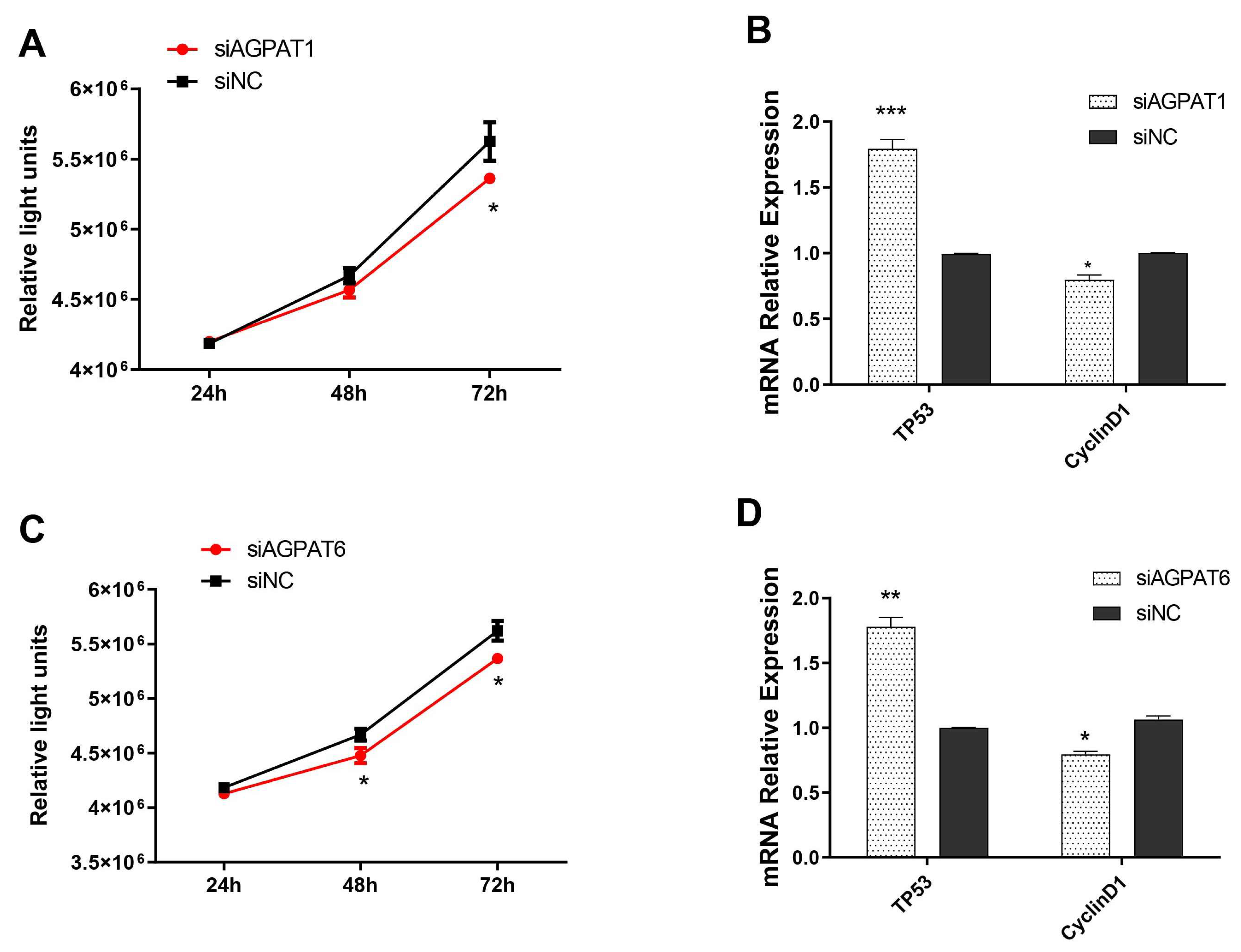 Ijms 23 06561 g004 Ijms 23 06561 g004
