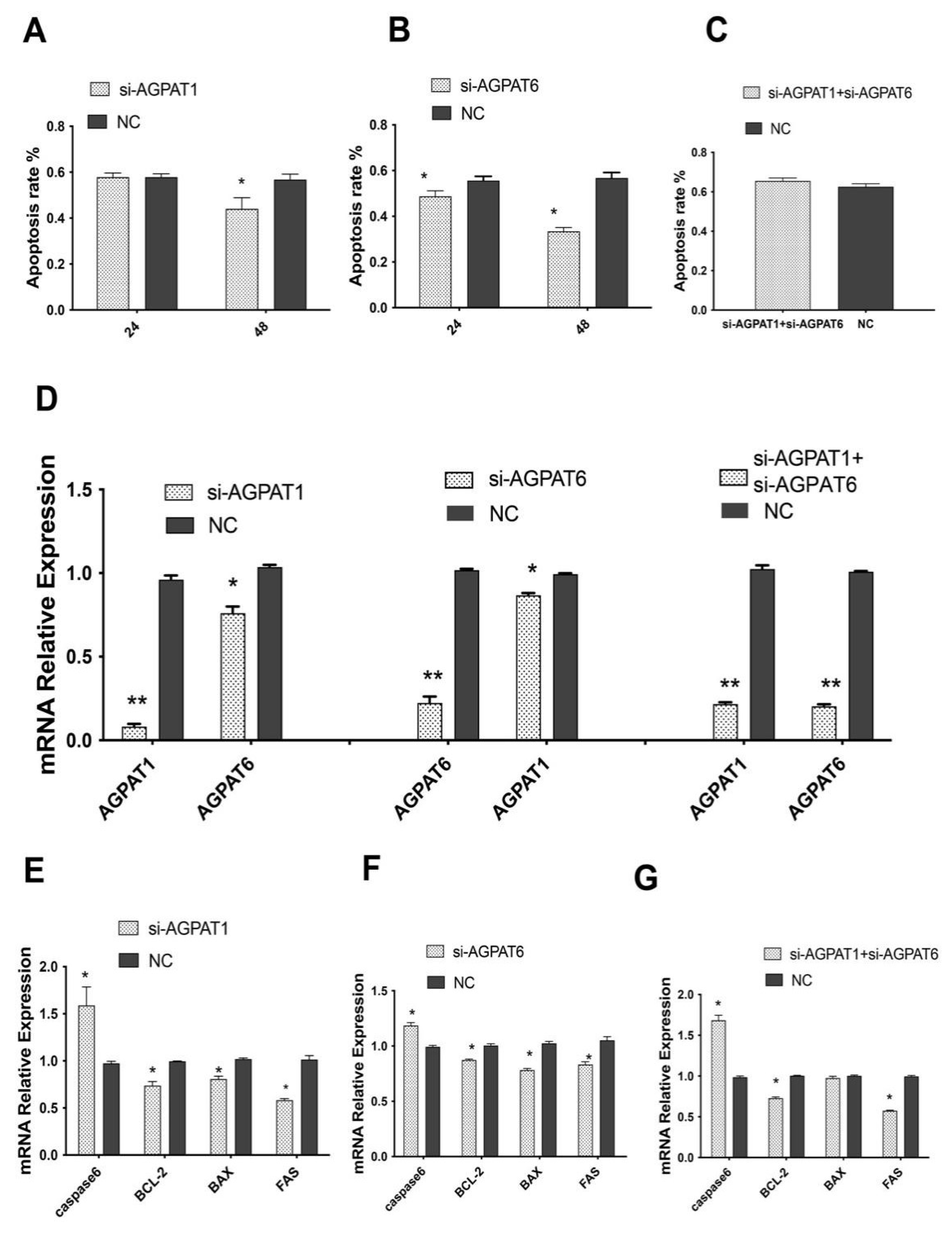 Ijms 23 06561 g005 Ijms 23 06561 g005