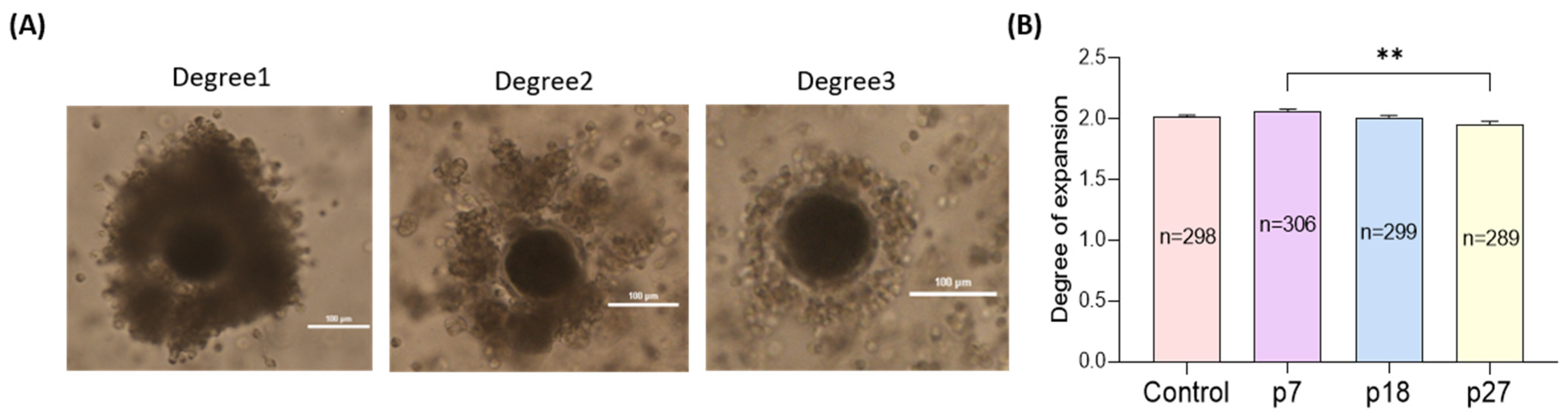 Ijms 23 06569 g001 Ijms 23 06569 g001