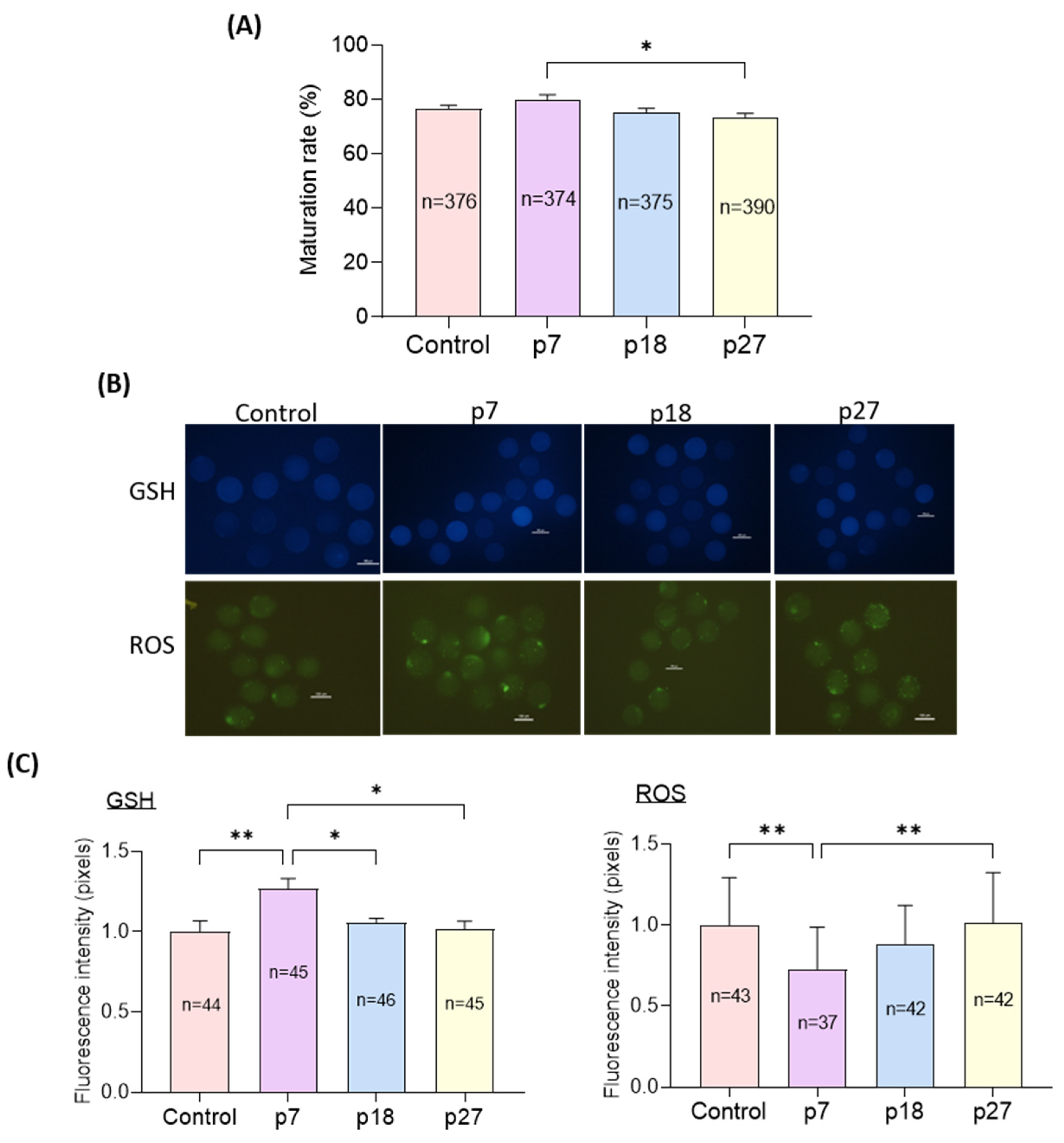 Ijms 23 06569 g003 Ijms 23 06569 g003