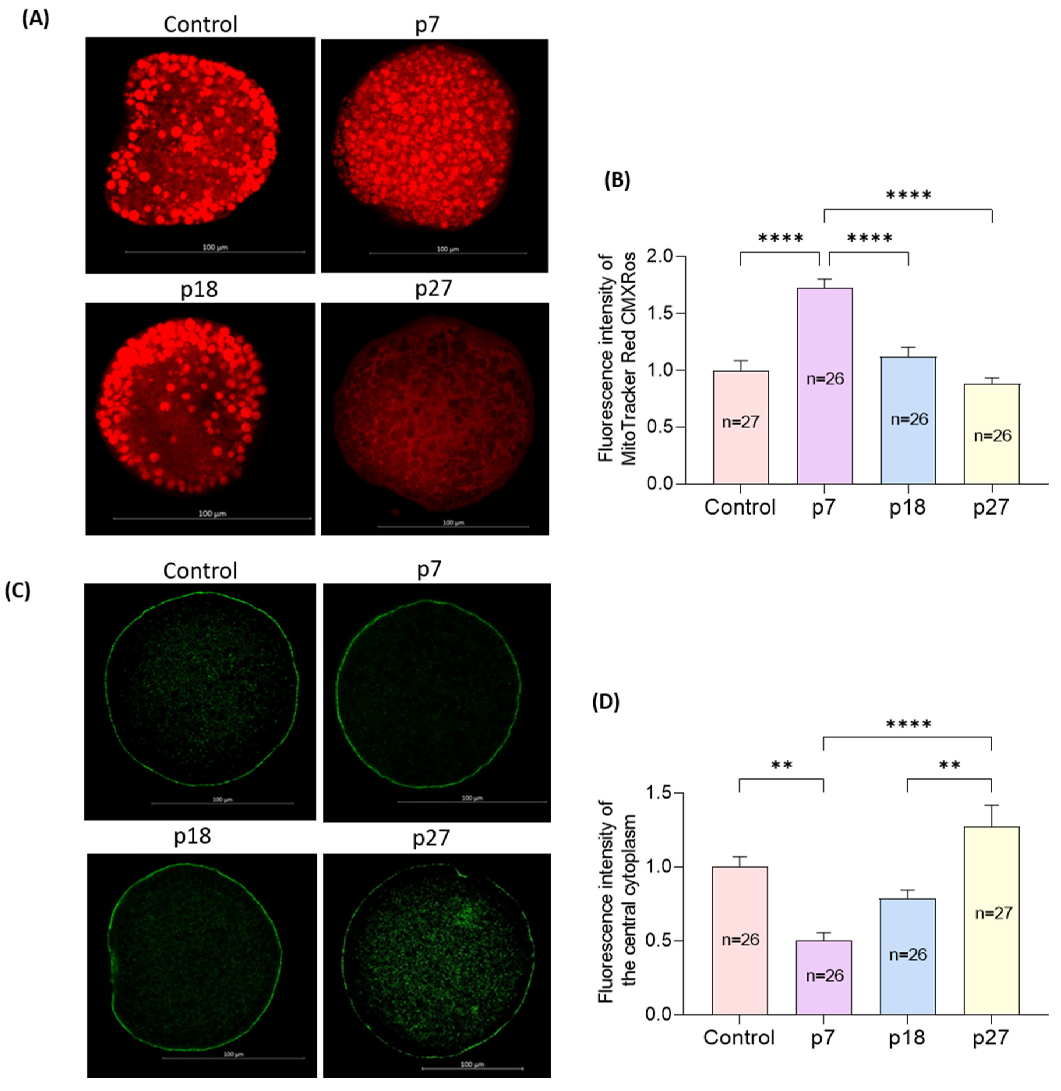 Ijms 23 06569 g004 Ijms 23 06569 g004