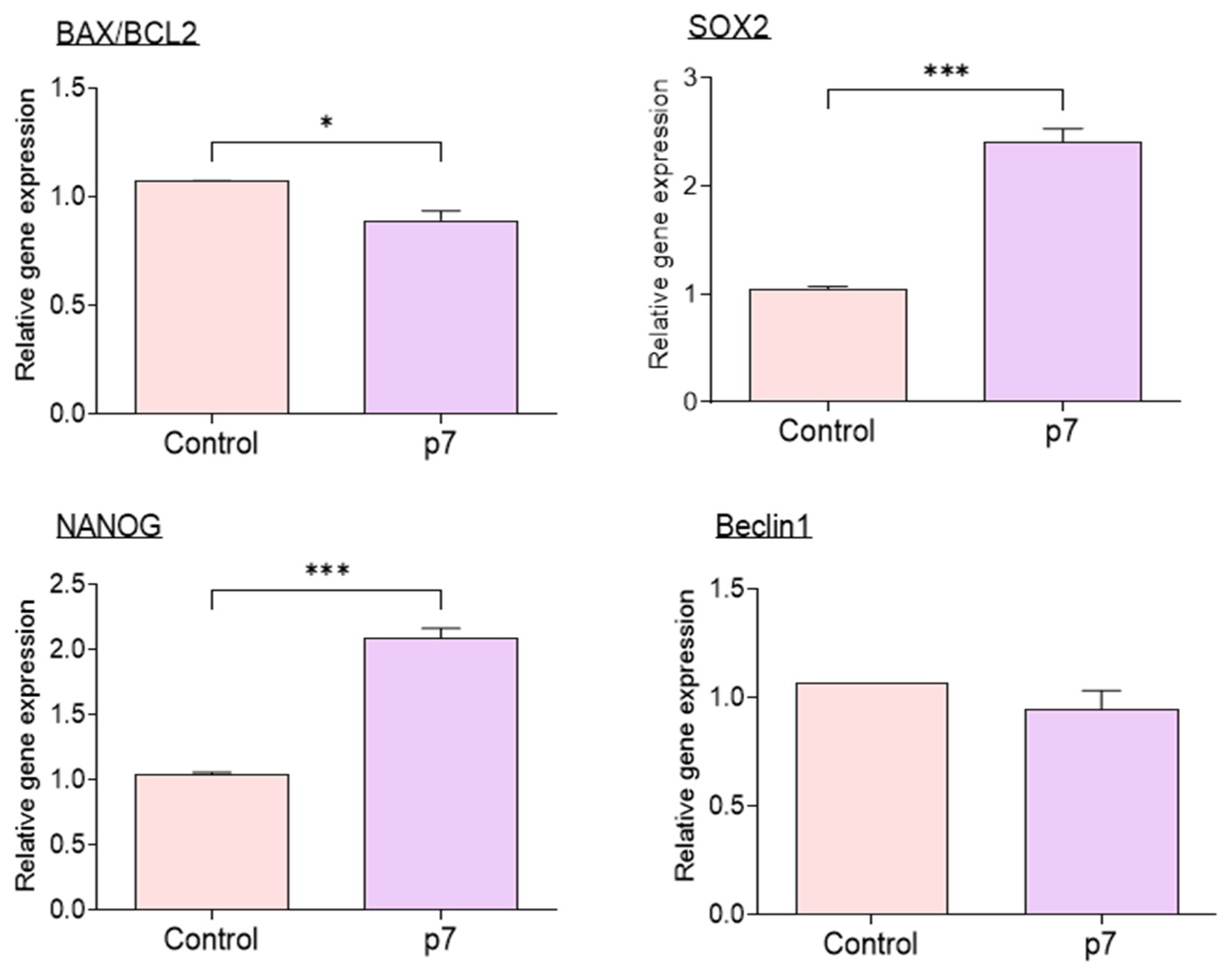Ijms 23 06569 g007 Ijms 23 06569 g007
