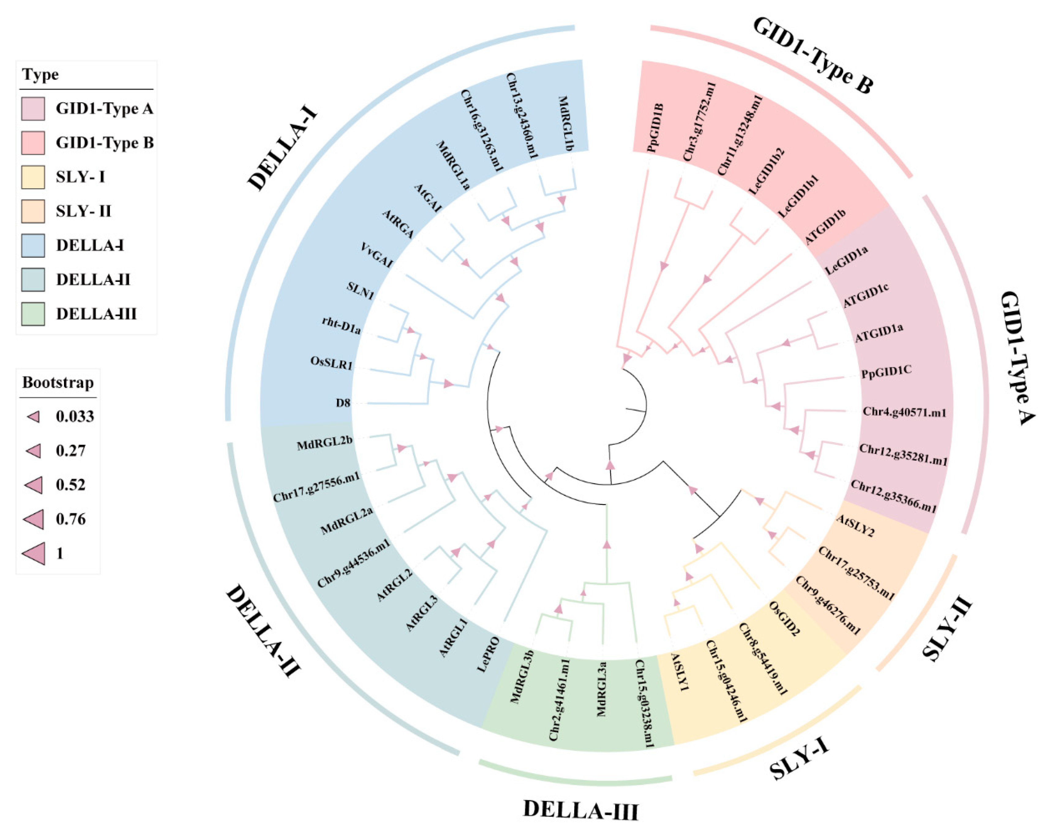 Ijms 23 06570 g002 550