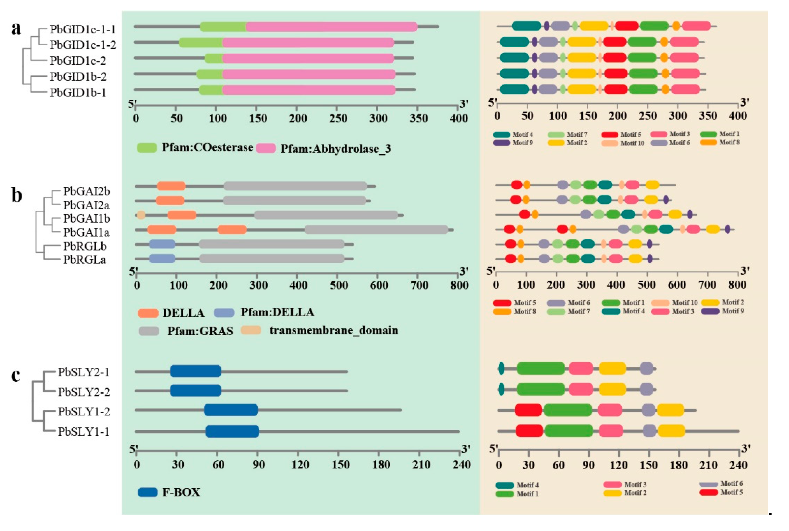 Ijms 23 06570 g003 550