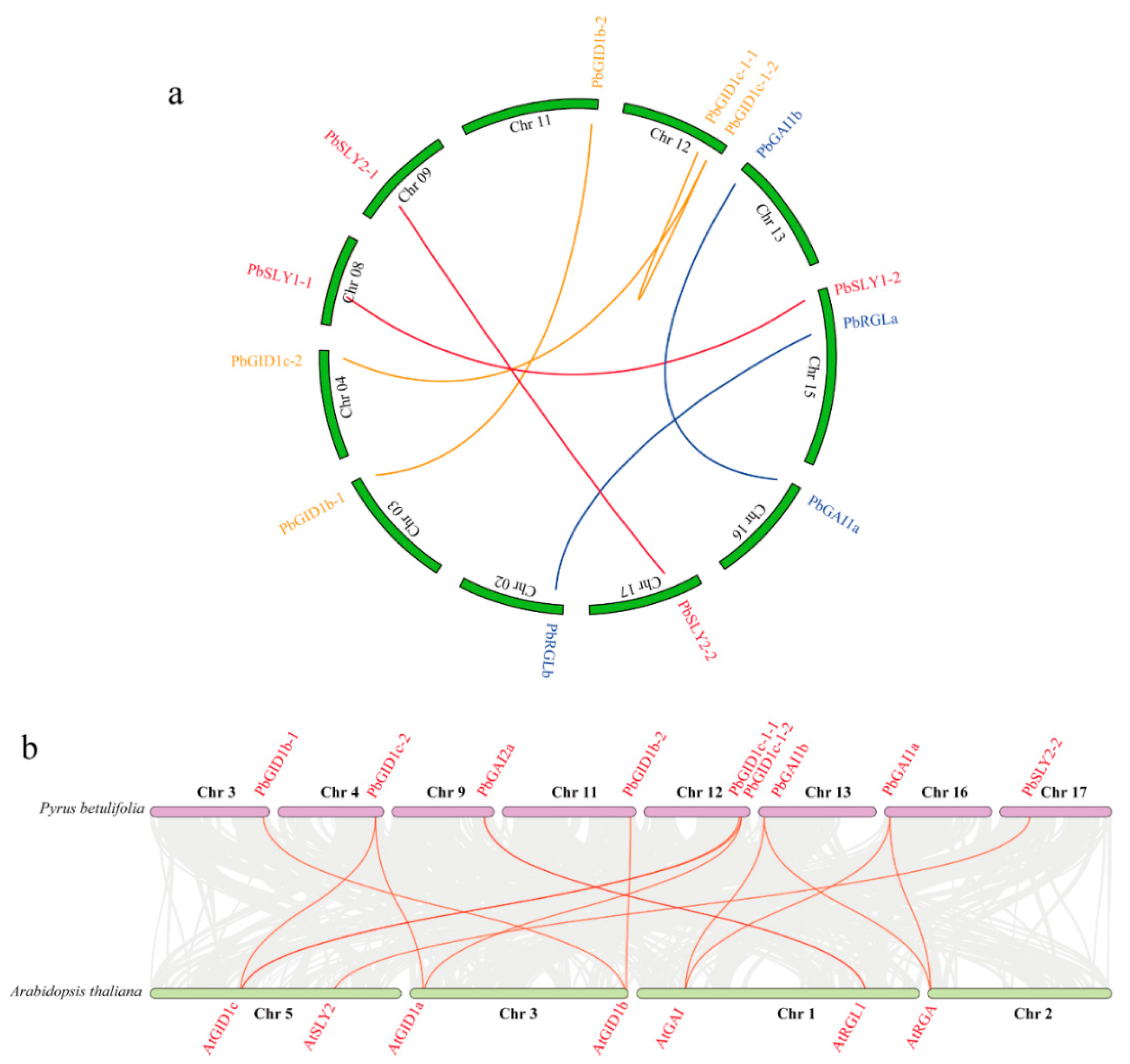 Ijms 23 06570 g004 550