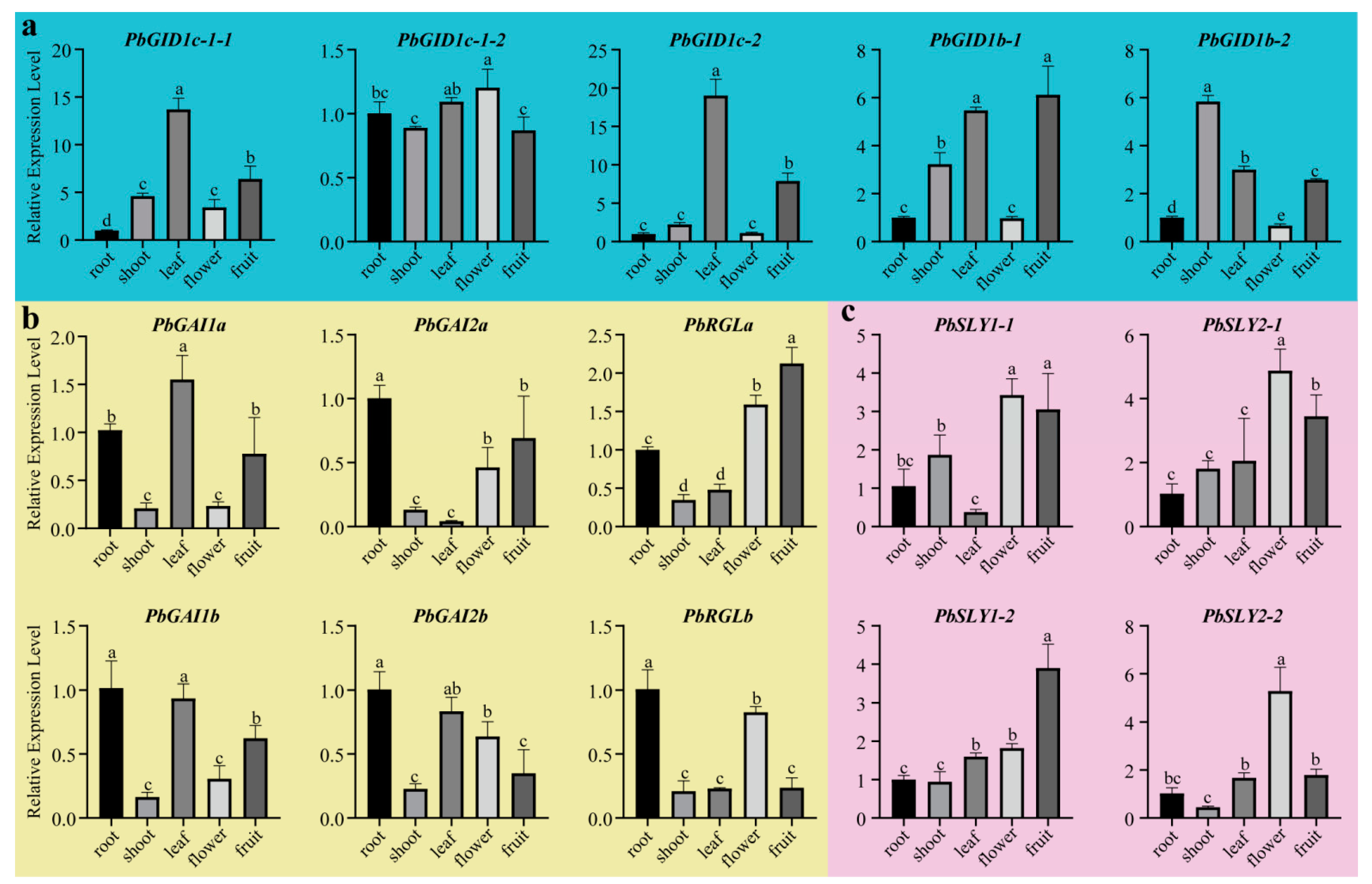 Ijms 23 06570 g006 550