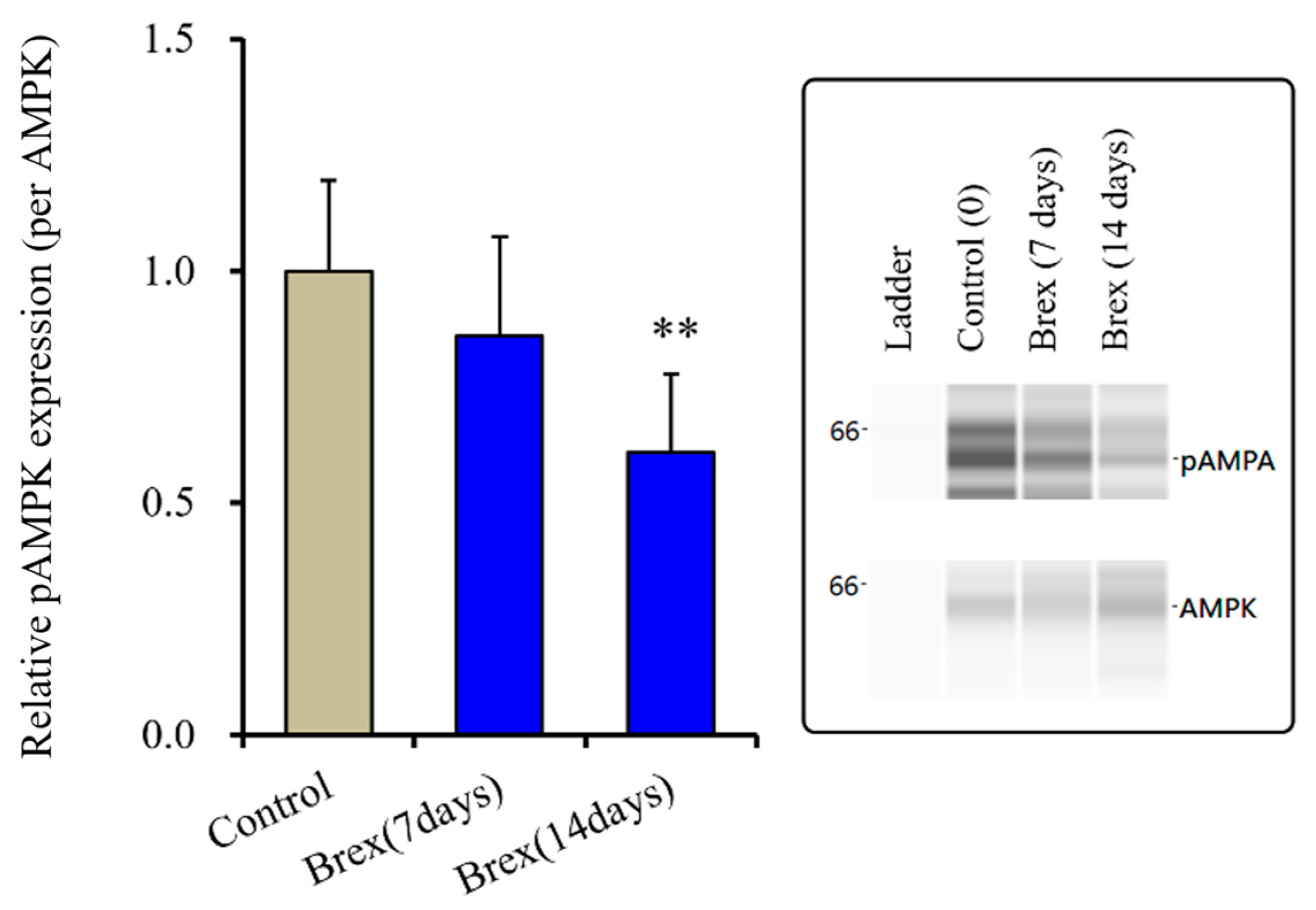 Ijms 23 06571 g004 550