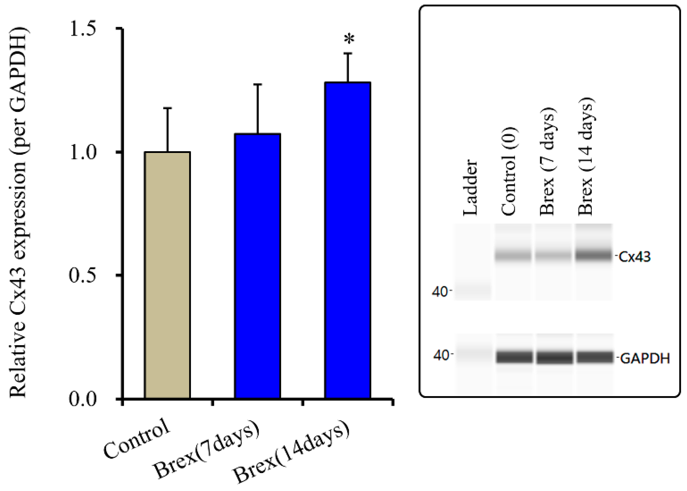 Ijms 23 06571 g005 550