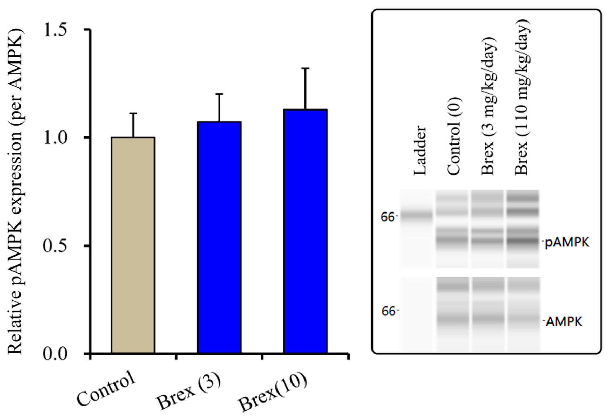 Ijms 23 06571 g008 550