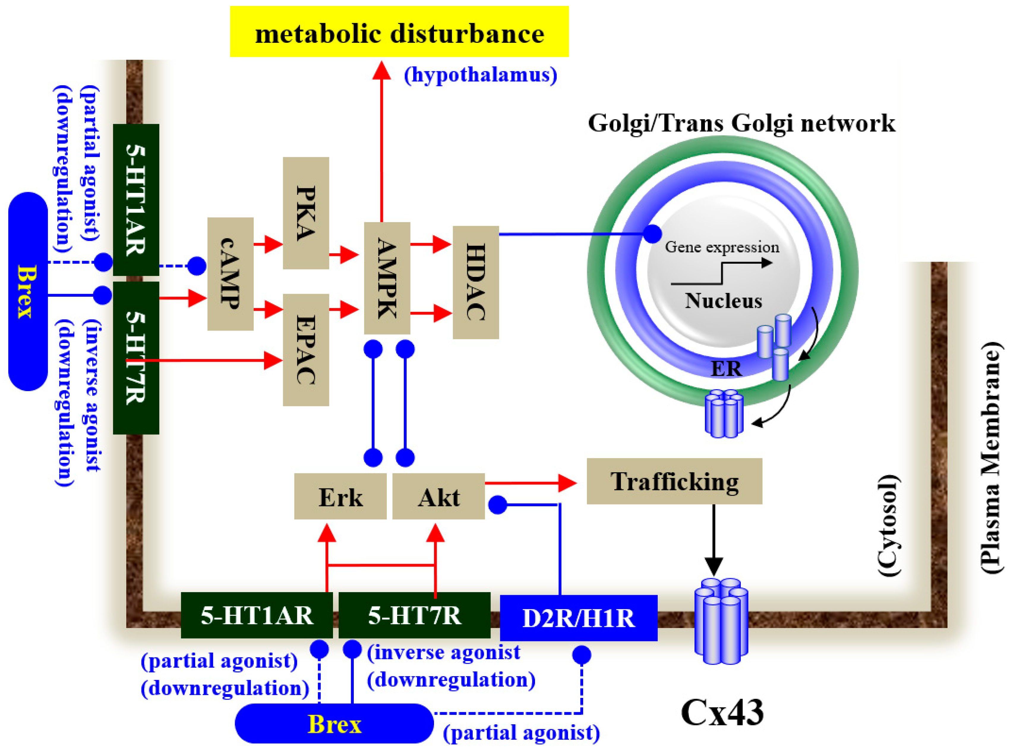 Ijms 23 06571 g010 550