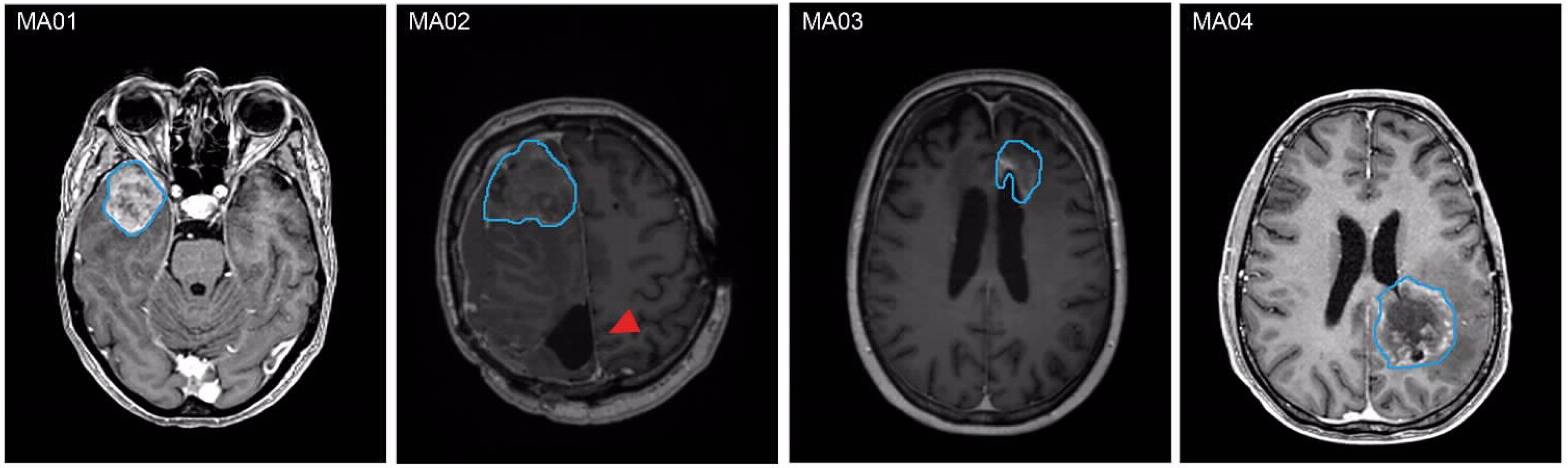 Ijms 23 06572 g001 Ijms 23 06572 g001