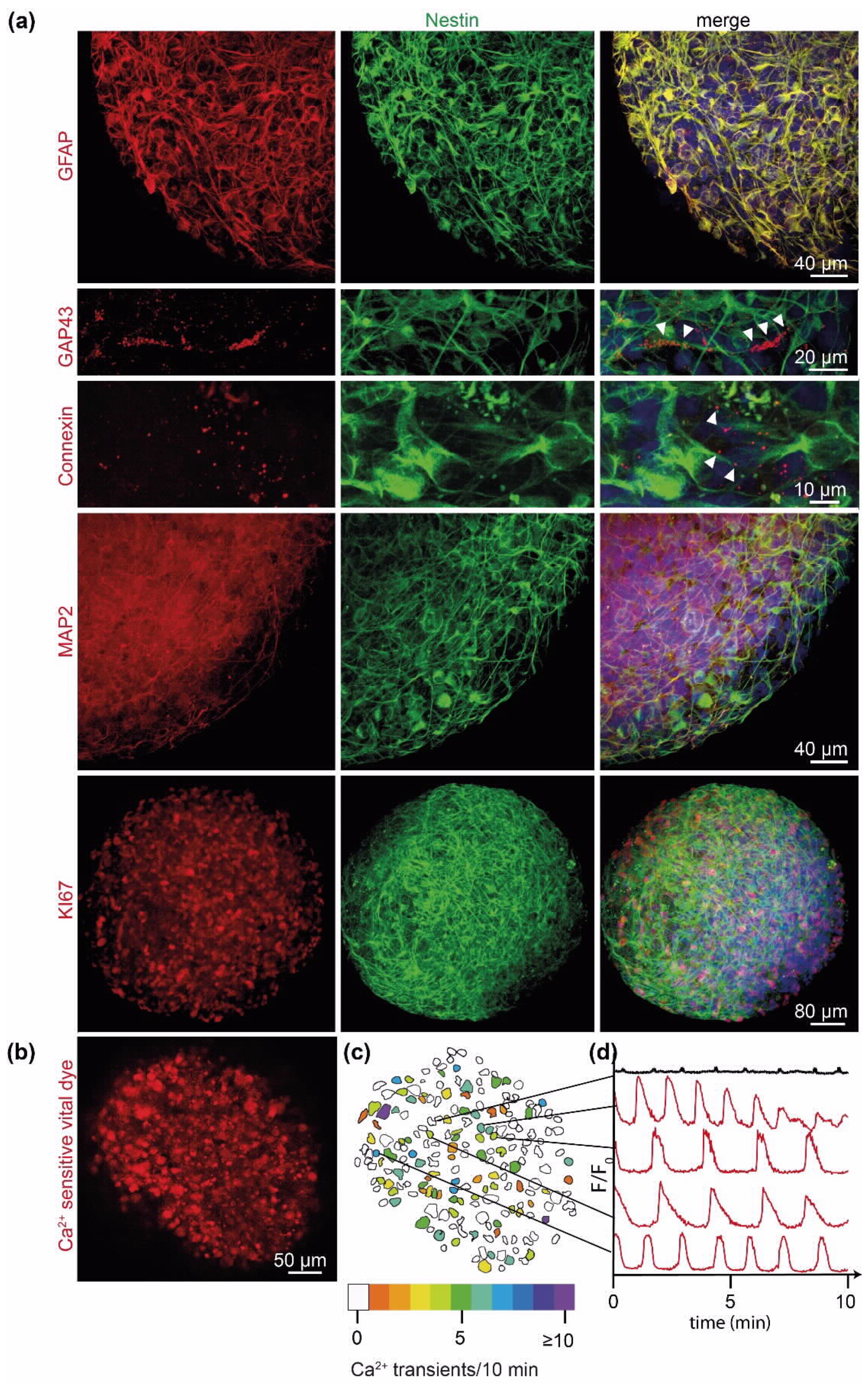 Ijms 23 06572 g002 Ijms 23 06572 g002