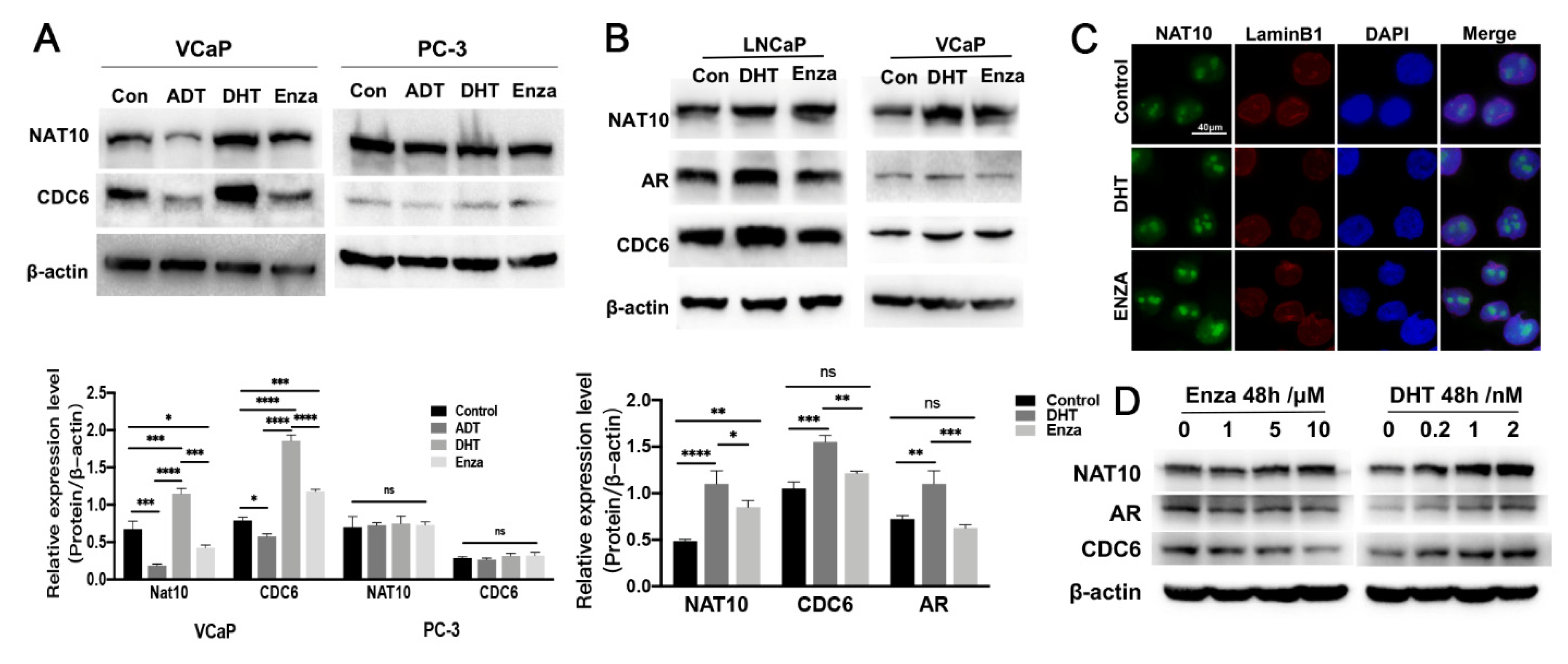 Ijms 23 06573 g004 550