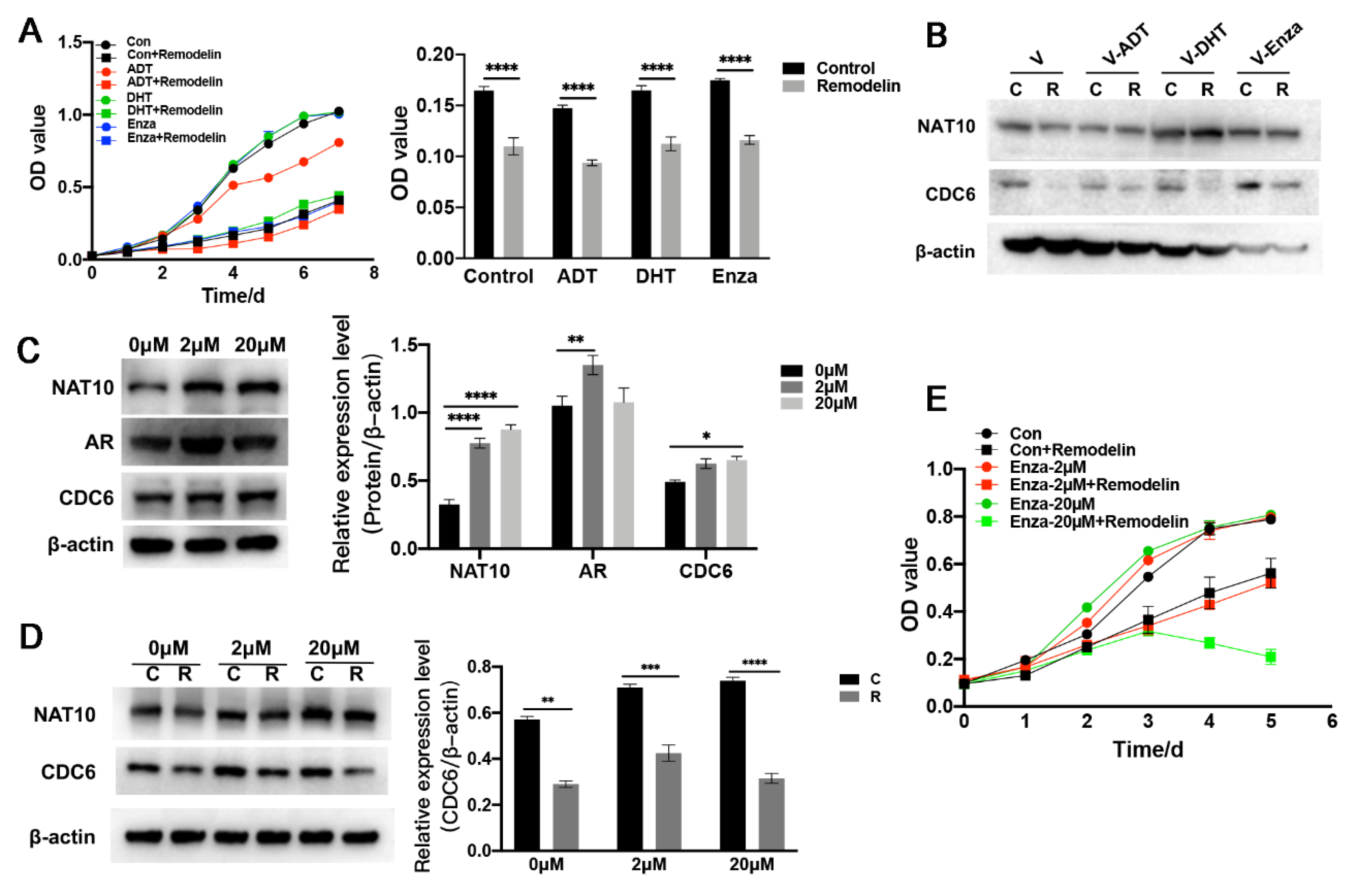 Ijms 23 06573 g005 550