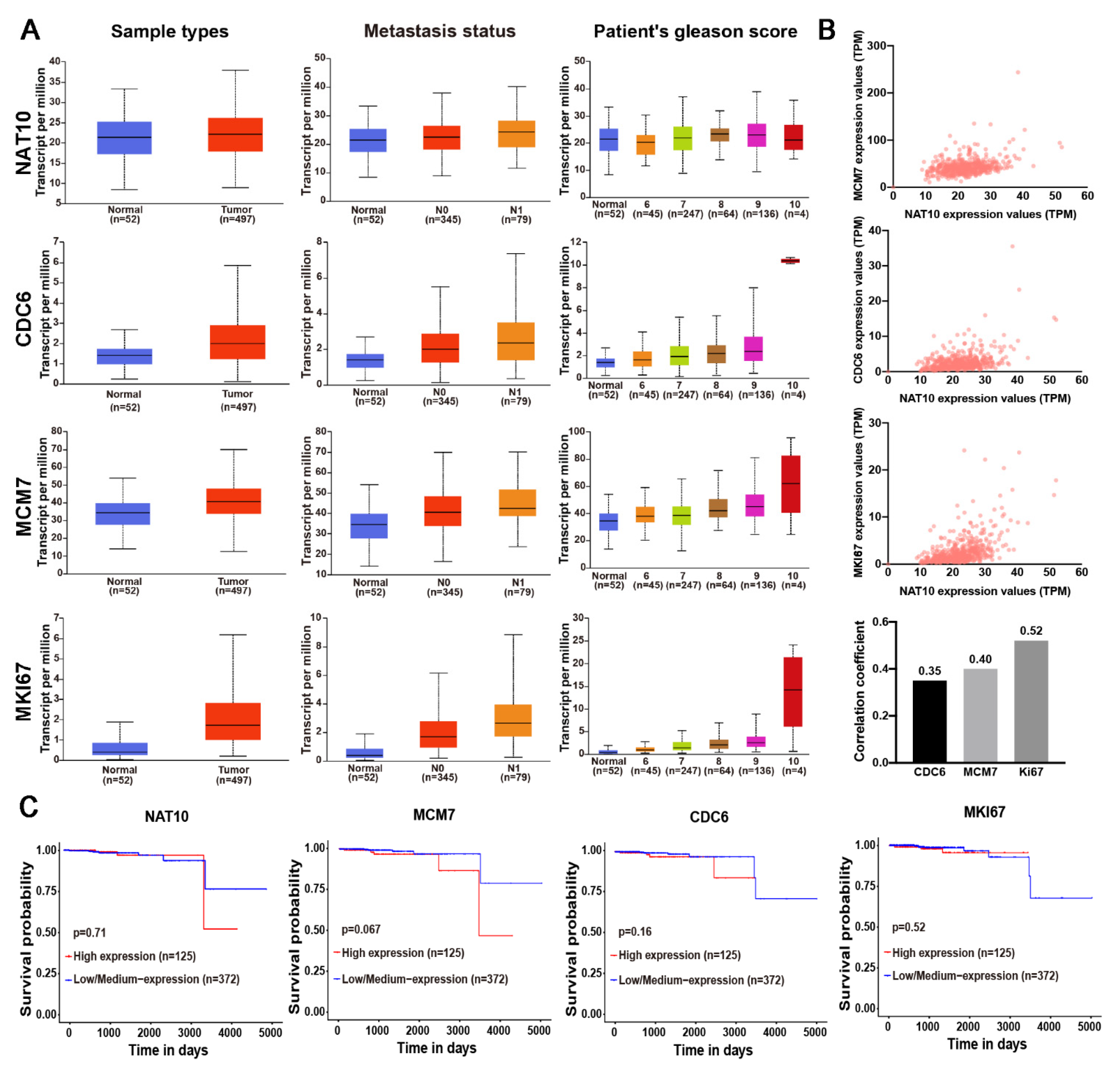 Ijms 23 06573 g006 550