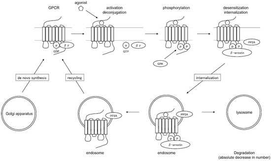 glutathione iv push Understanding Glutathione: Benefits, Risks, and Essential Information