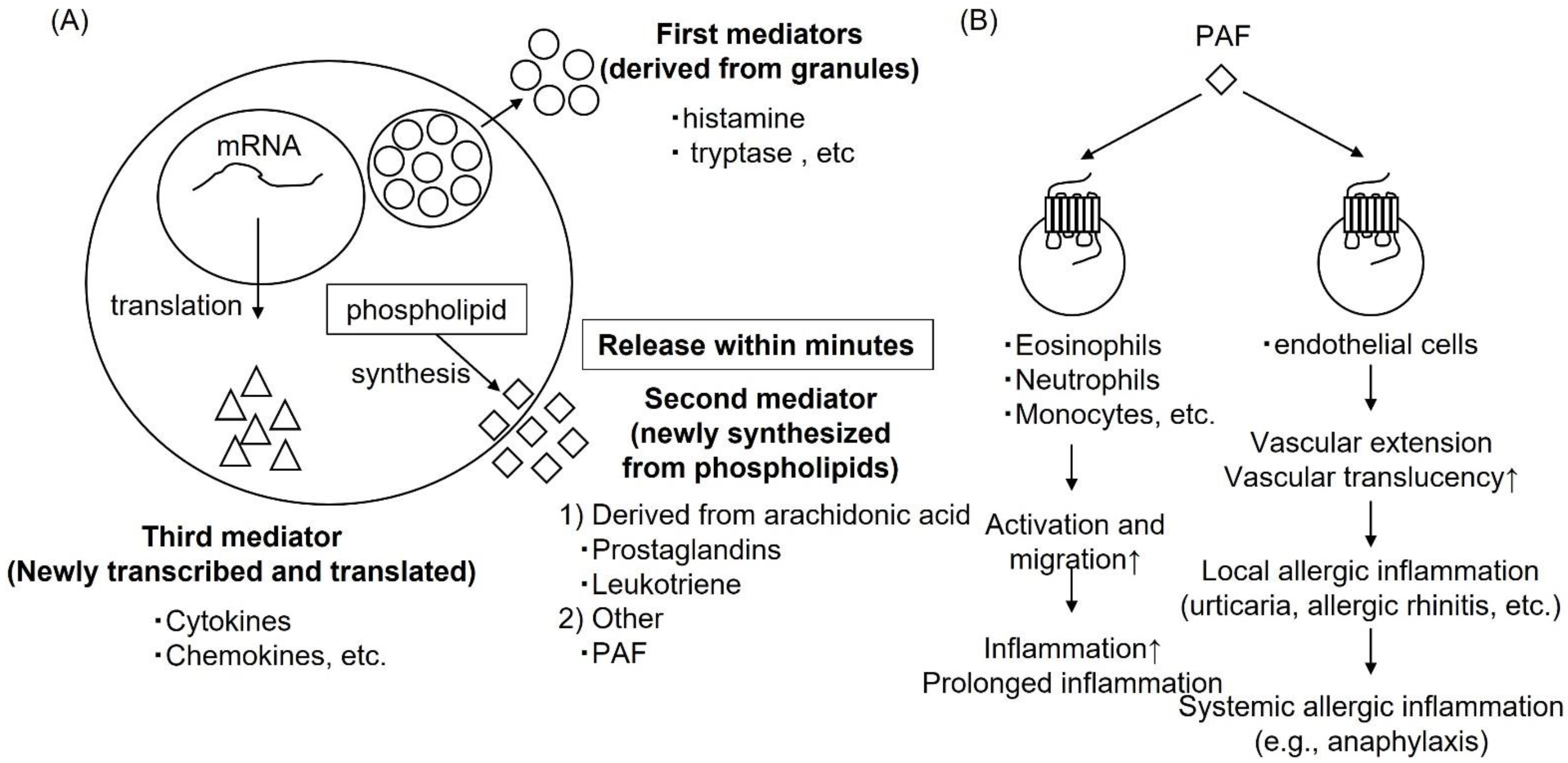 Ijms 23 06579 g005 Ijms 23 06579 g005