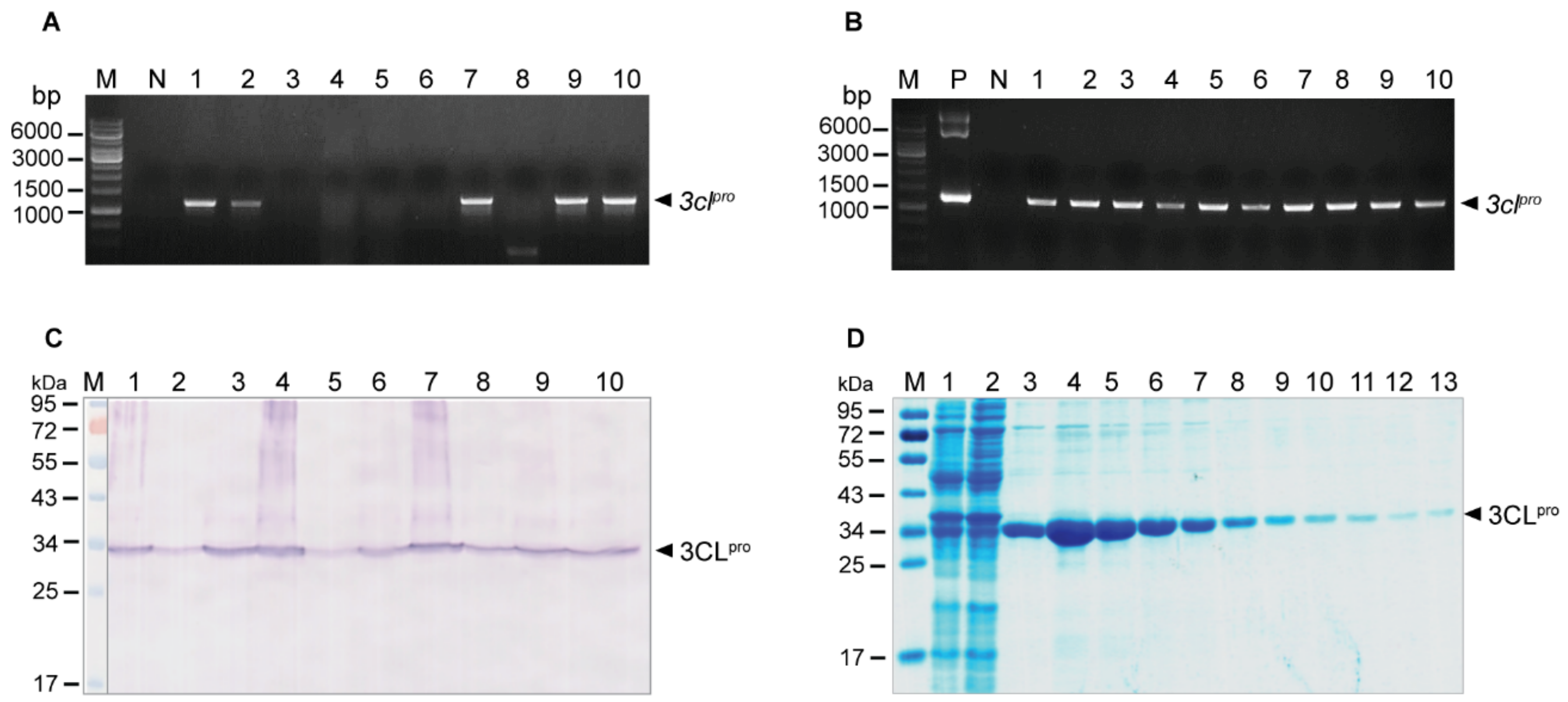 Ijms 23 06587 g001 550