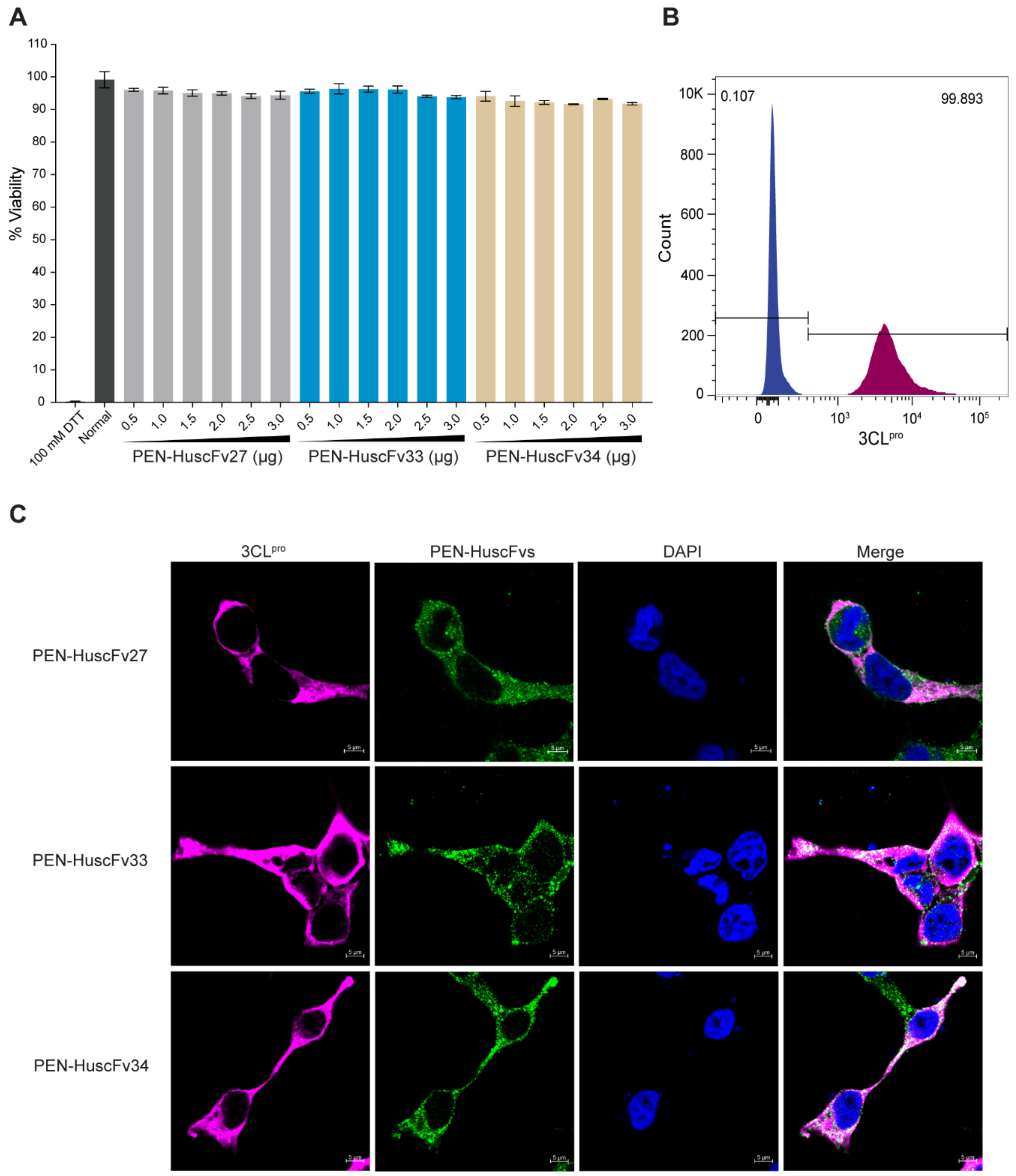 Ijms 23 06587 g007 550