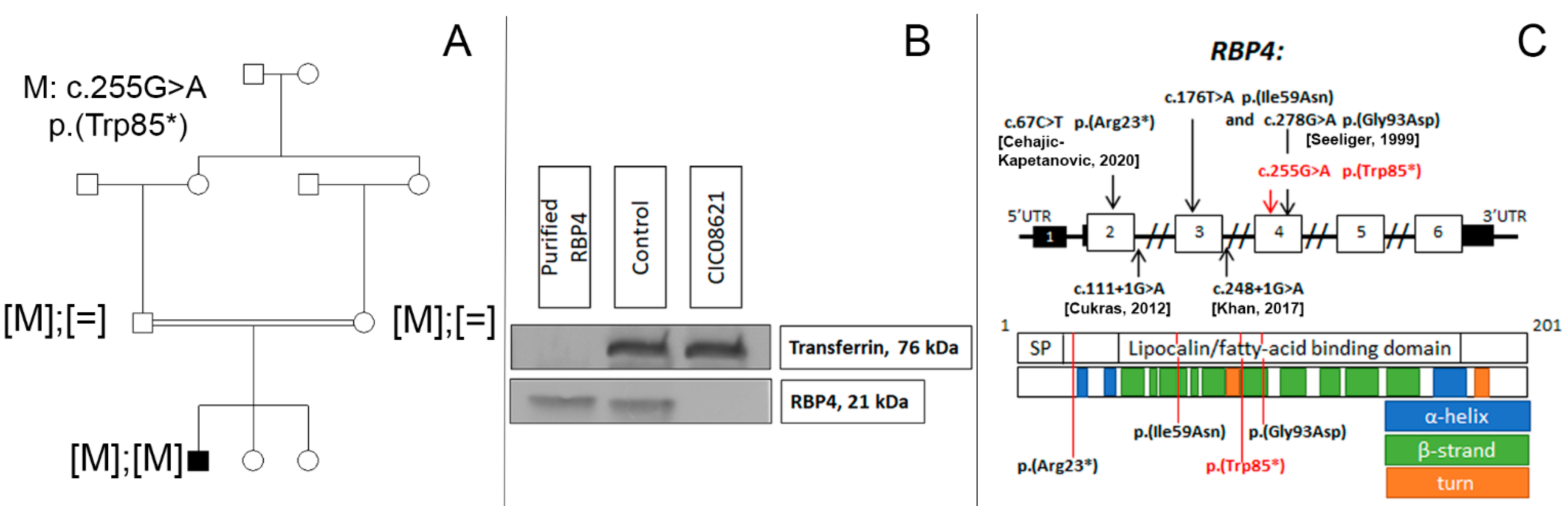 Ijms 23 06590 g002 550