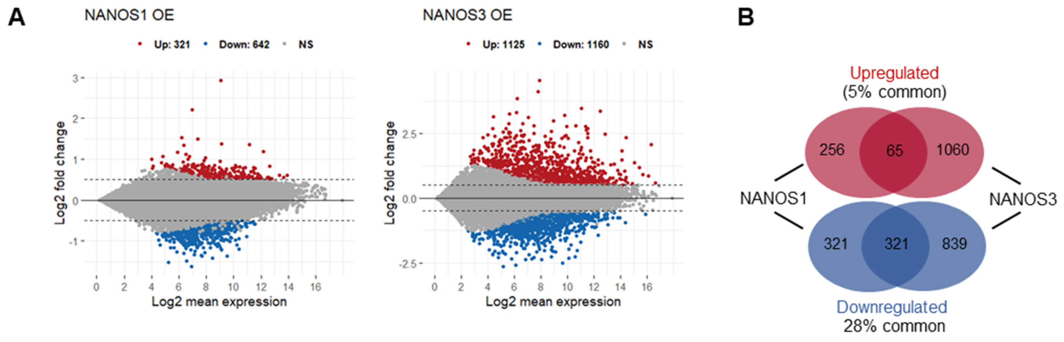 Ijms 23 06592 g001a Ijms 23 06592 g001a