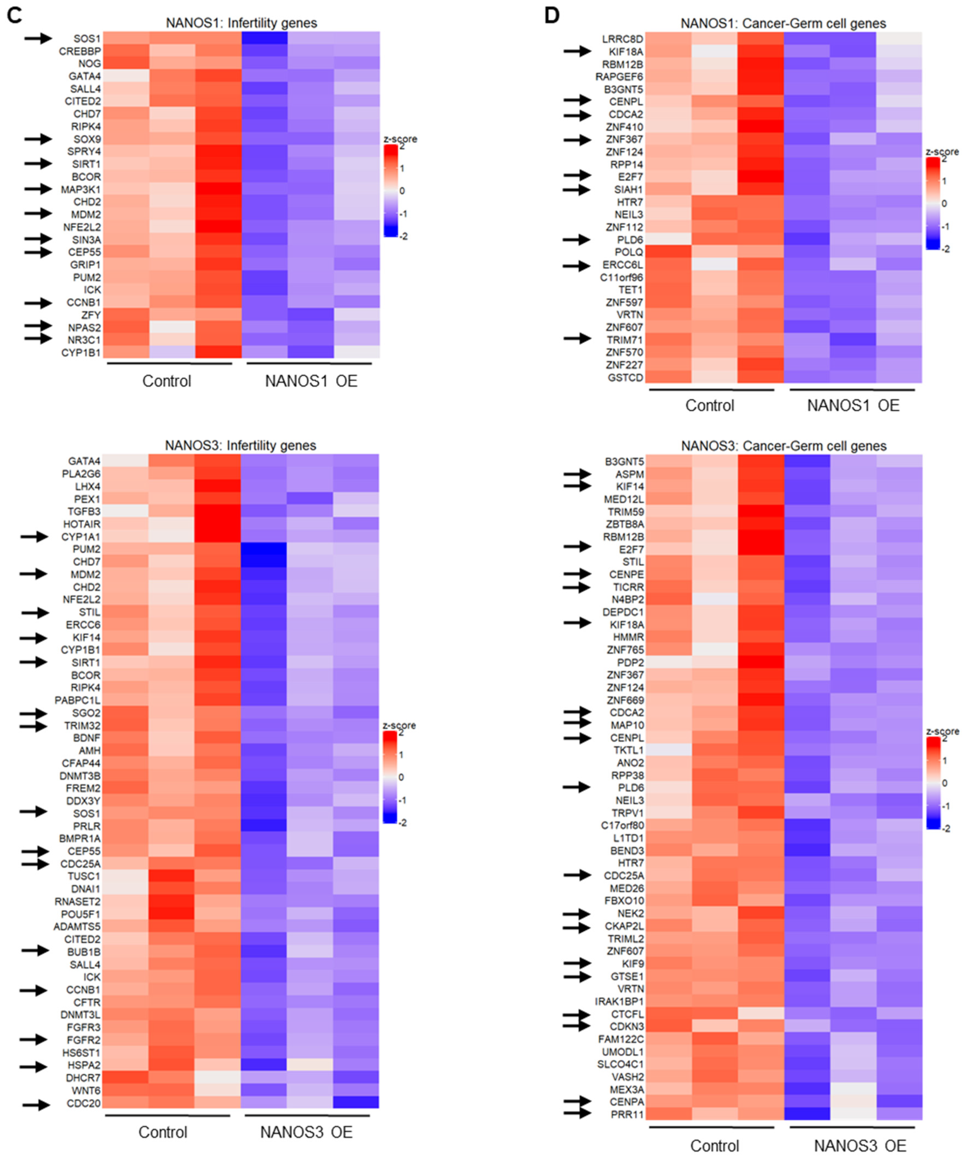 Ijms 23 06592 g001b Ijms 23 06592 g001b