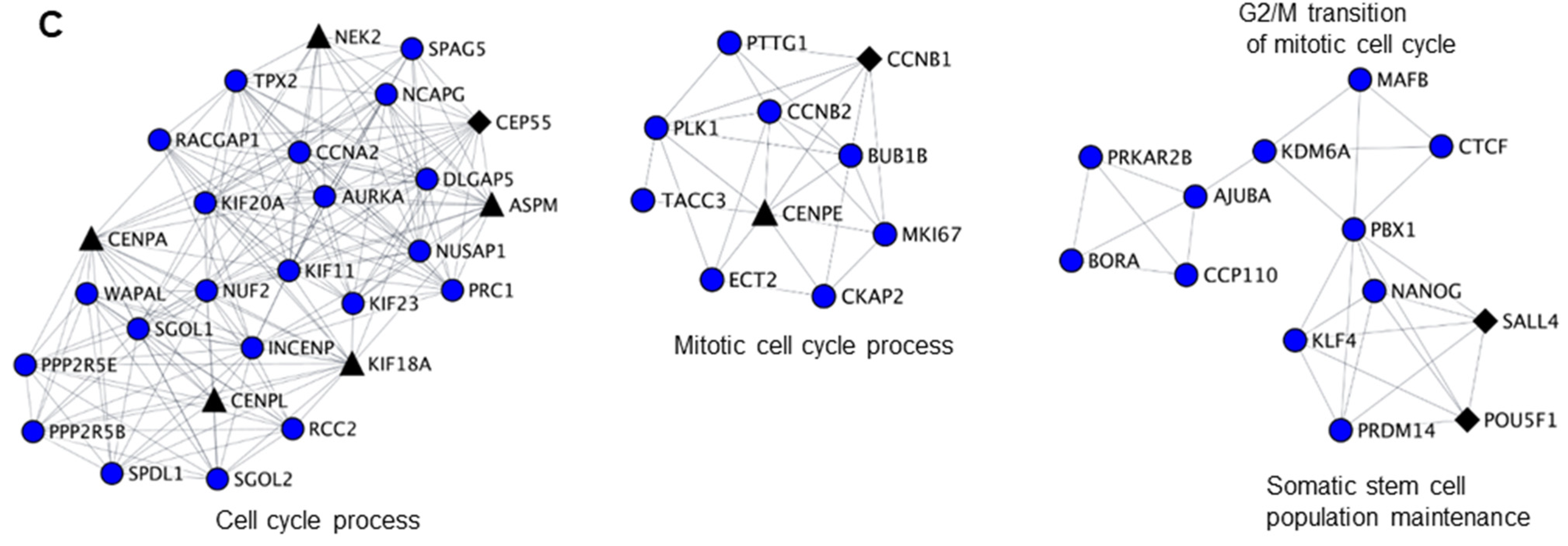Ijms 23 06592 g002b Ijms 23 06592 g002b