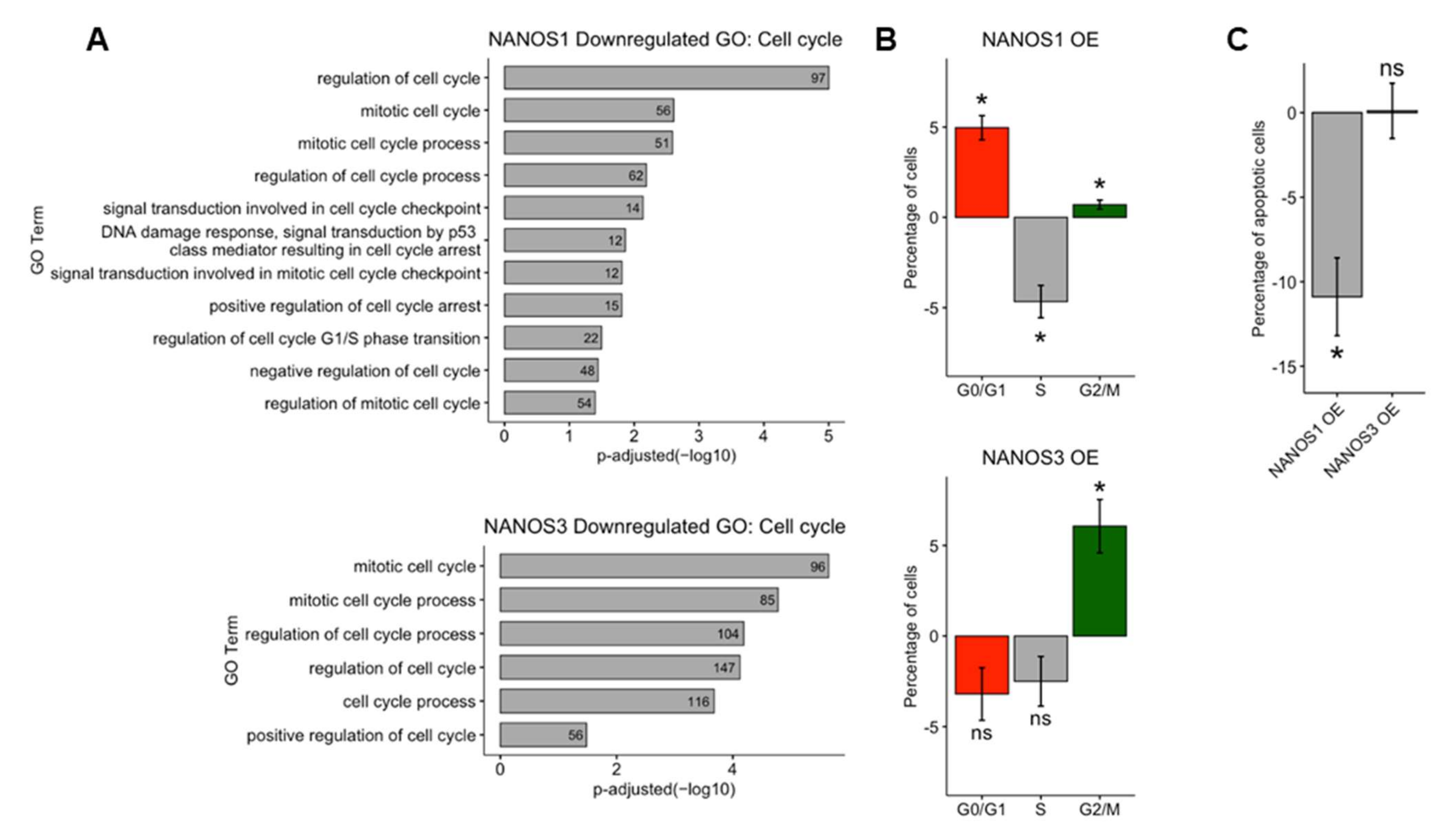 Ijms 23 06592 g003 Ijms 23 06592 g003