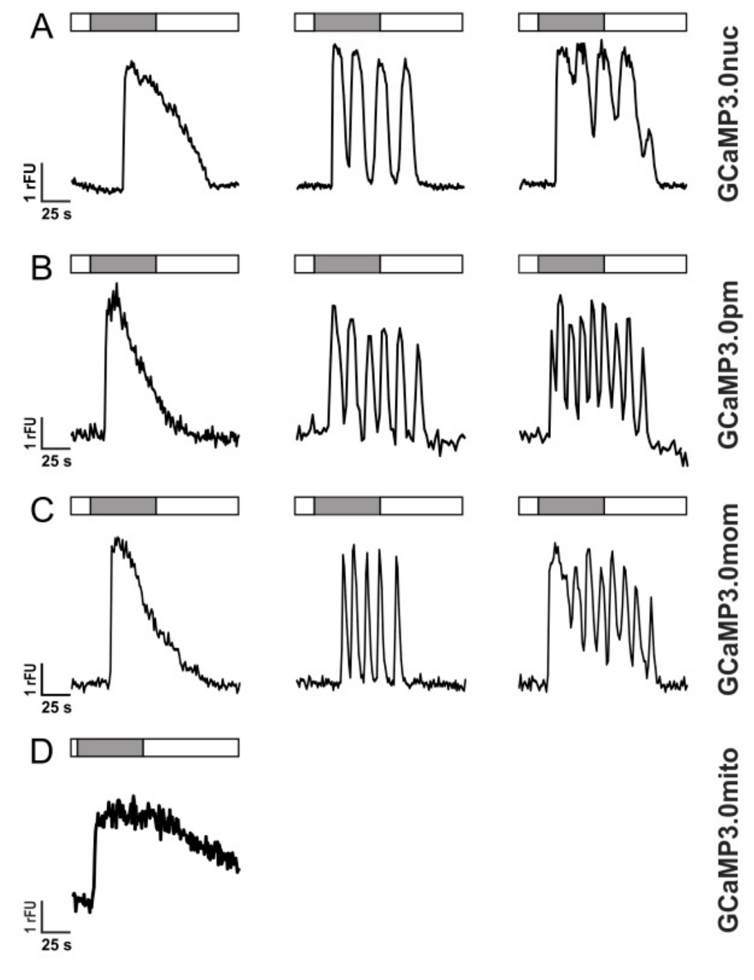 Ijms 23 06593 g005 550