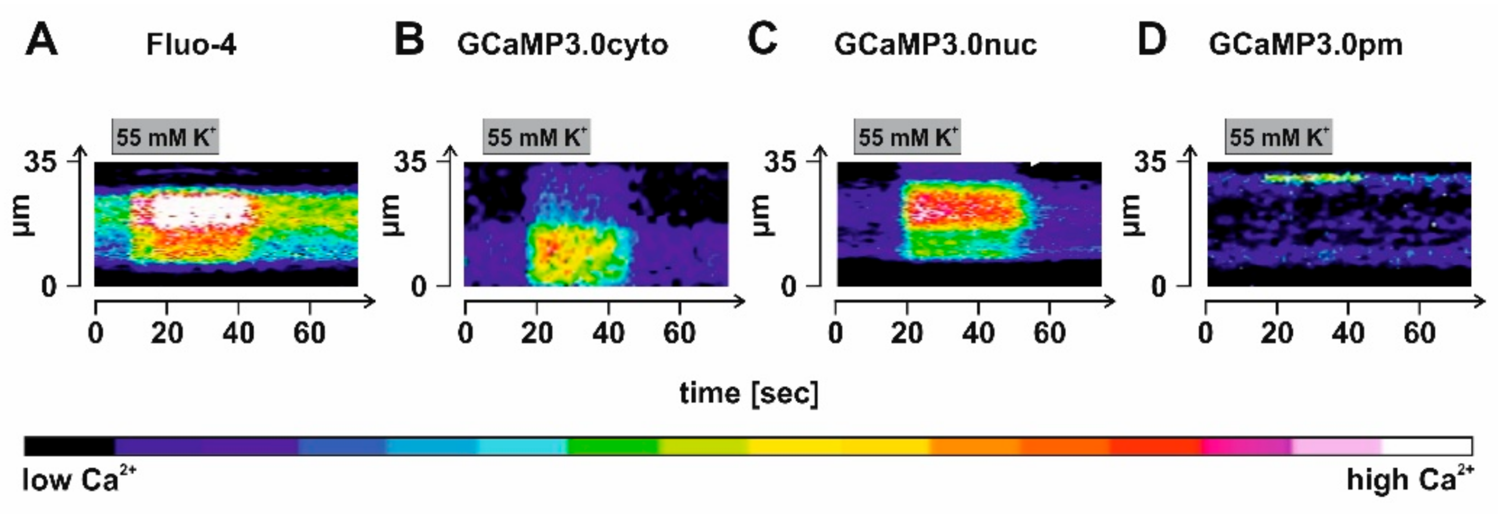 Ijms 23 06593 g009 550