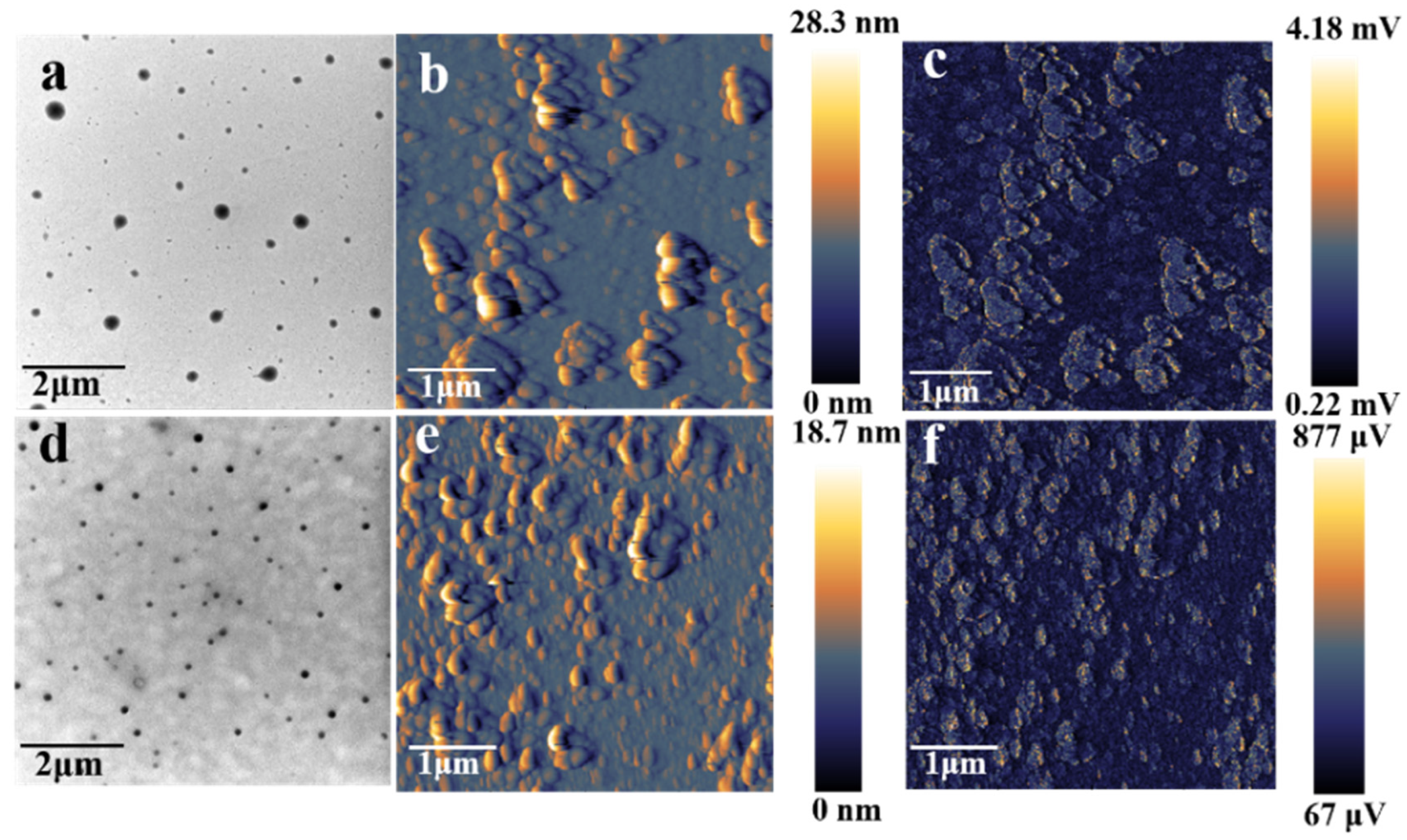 Ijms 23 06597 g005 550