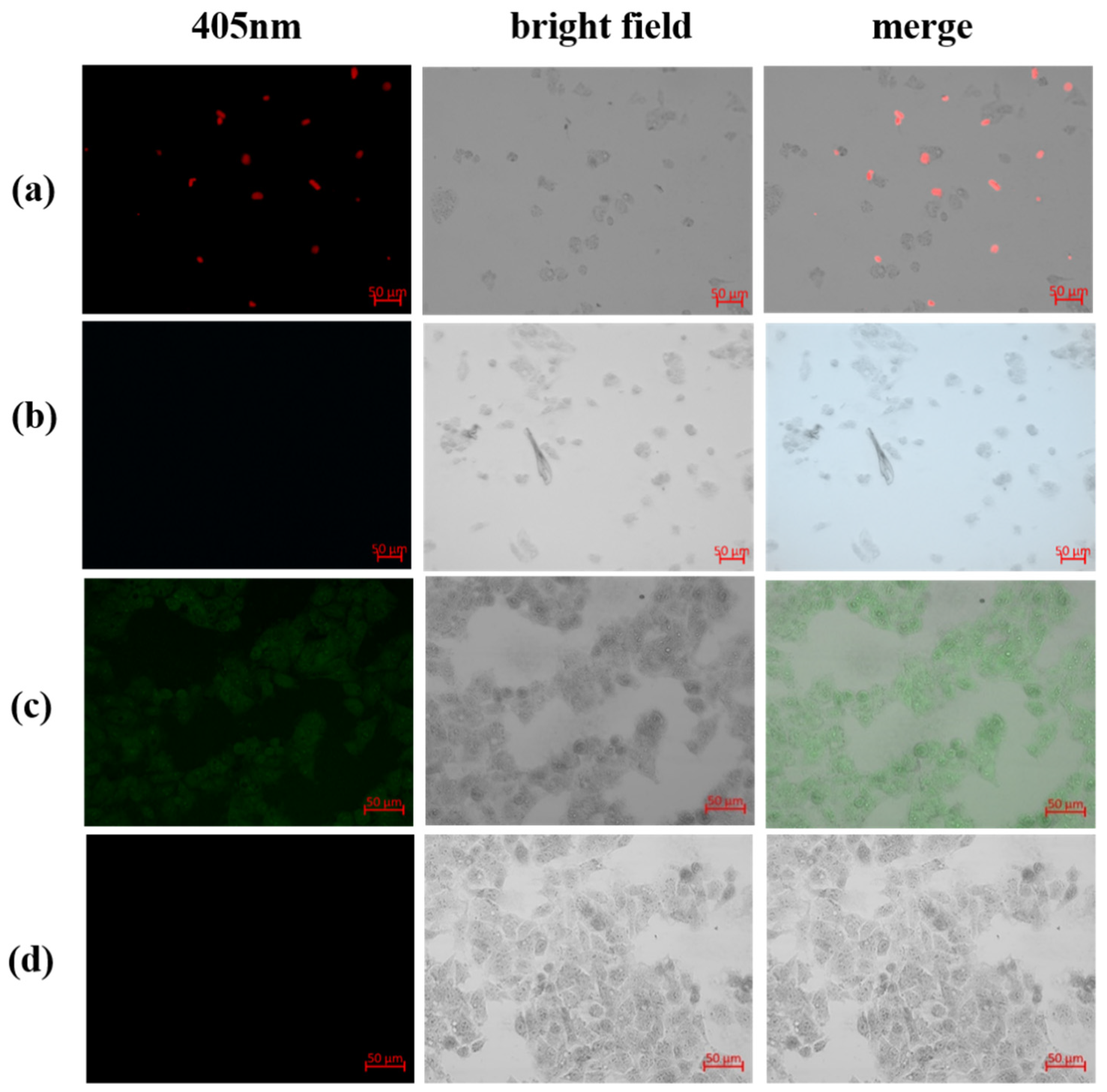 Ijms 23 06597 g009 550